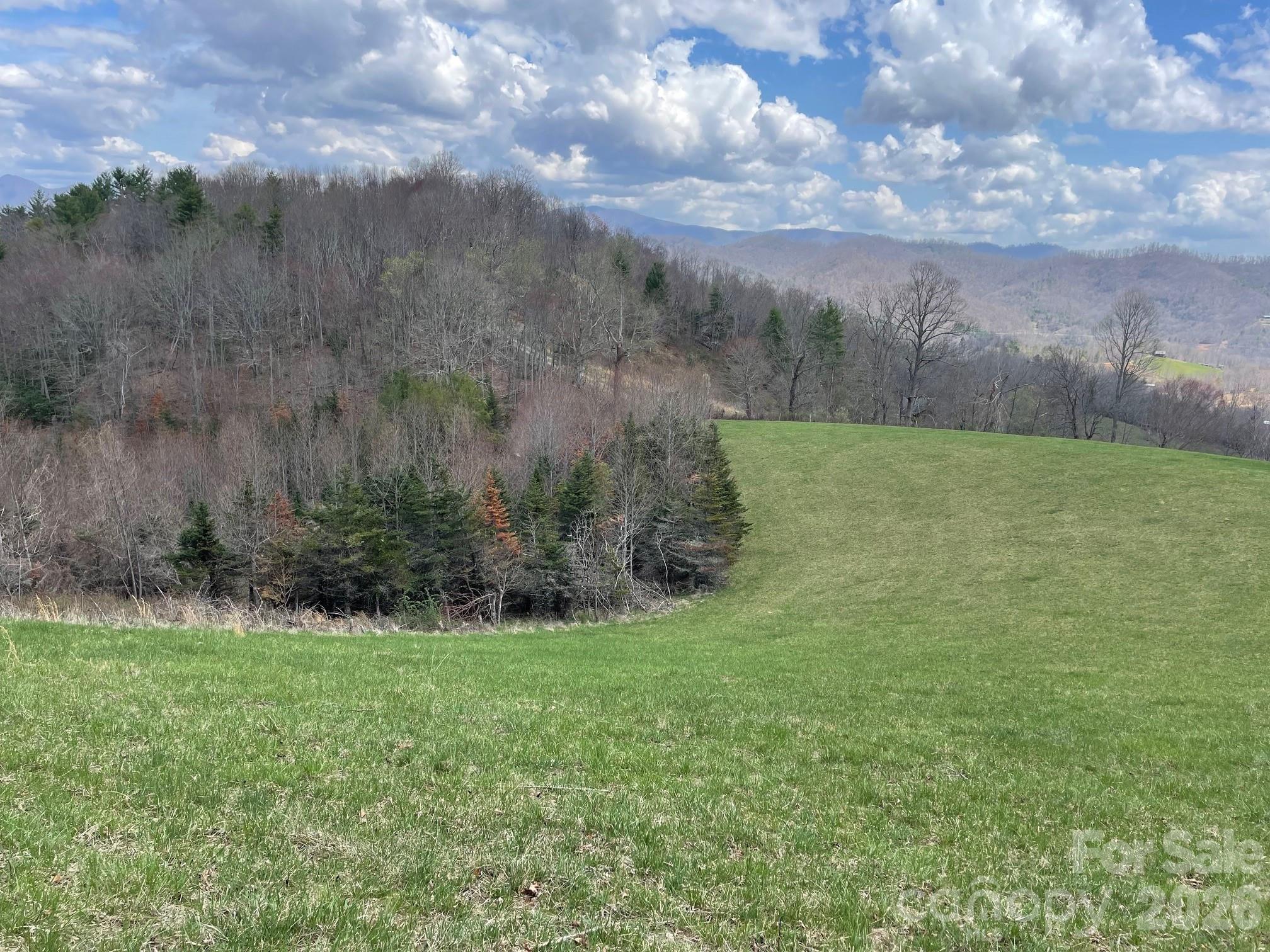 999 Chestnut Mountain Drive Property Photo 22
