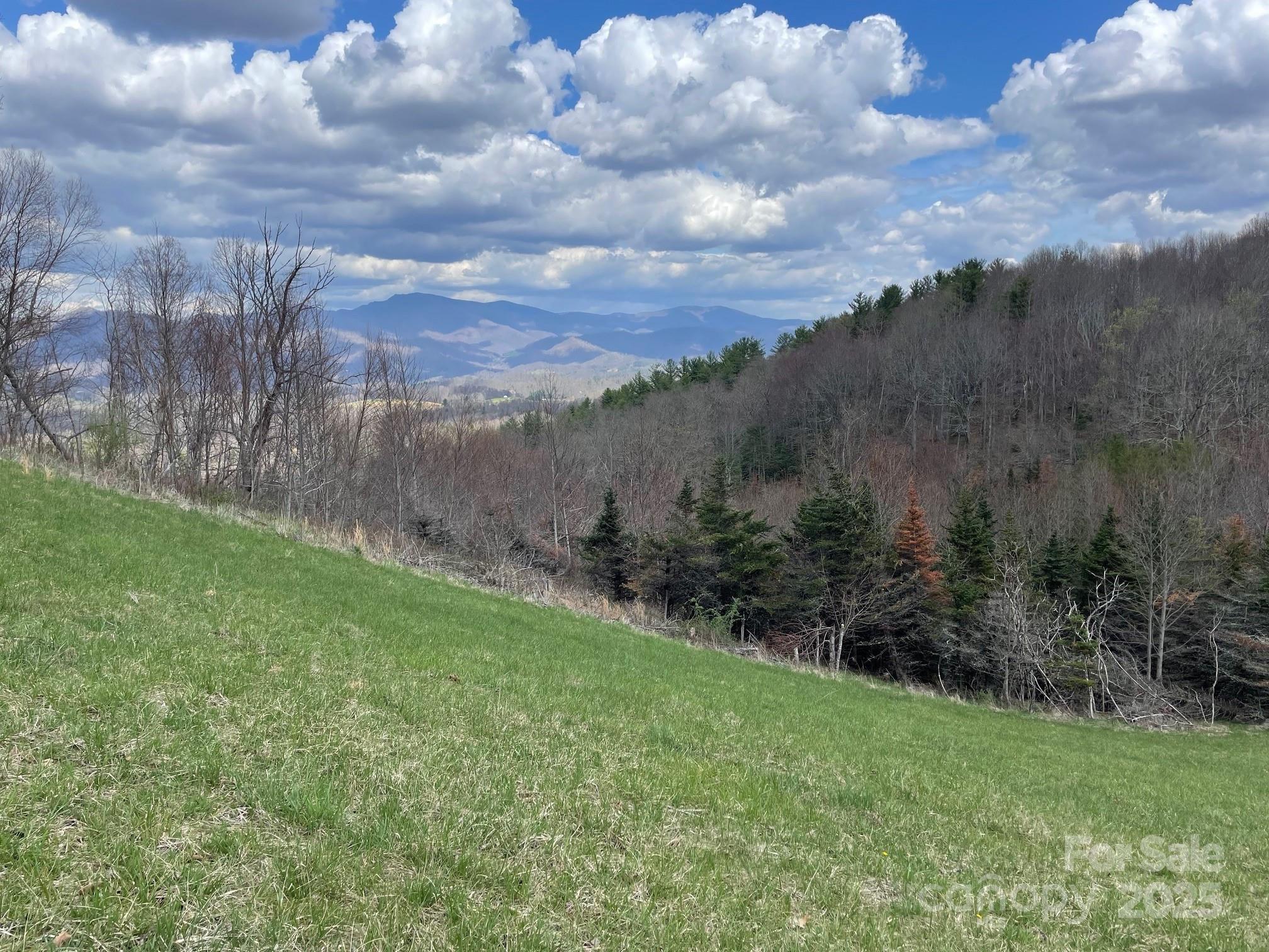 999 Chestnut Mountain Drive Property Photo 24