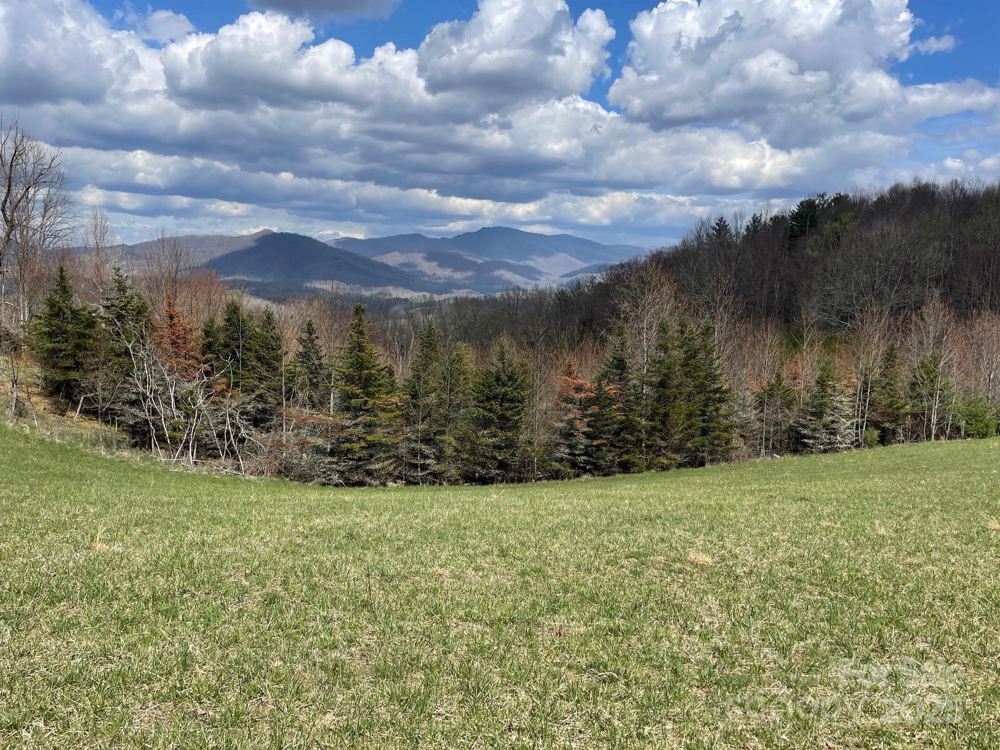 999 Chestnut Mountain Drive Property Photo 25