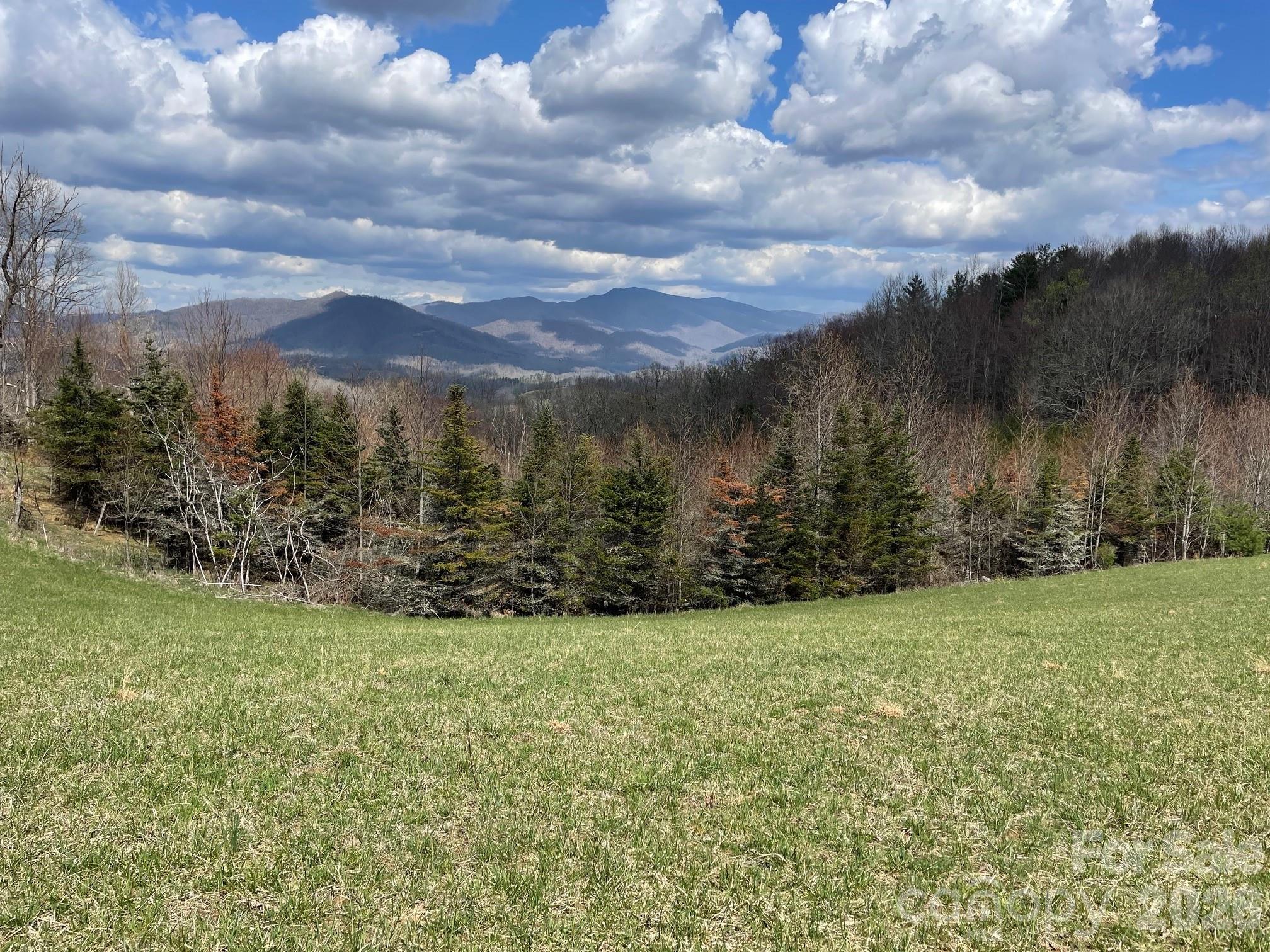 999 Chestnut Mountain Drive Property Photo 25