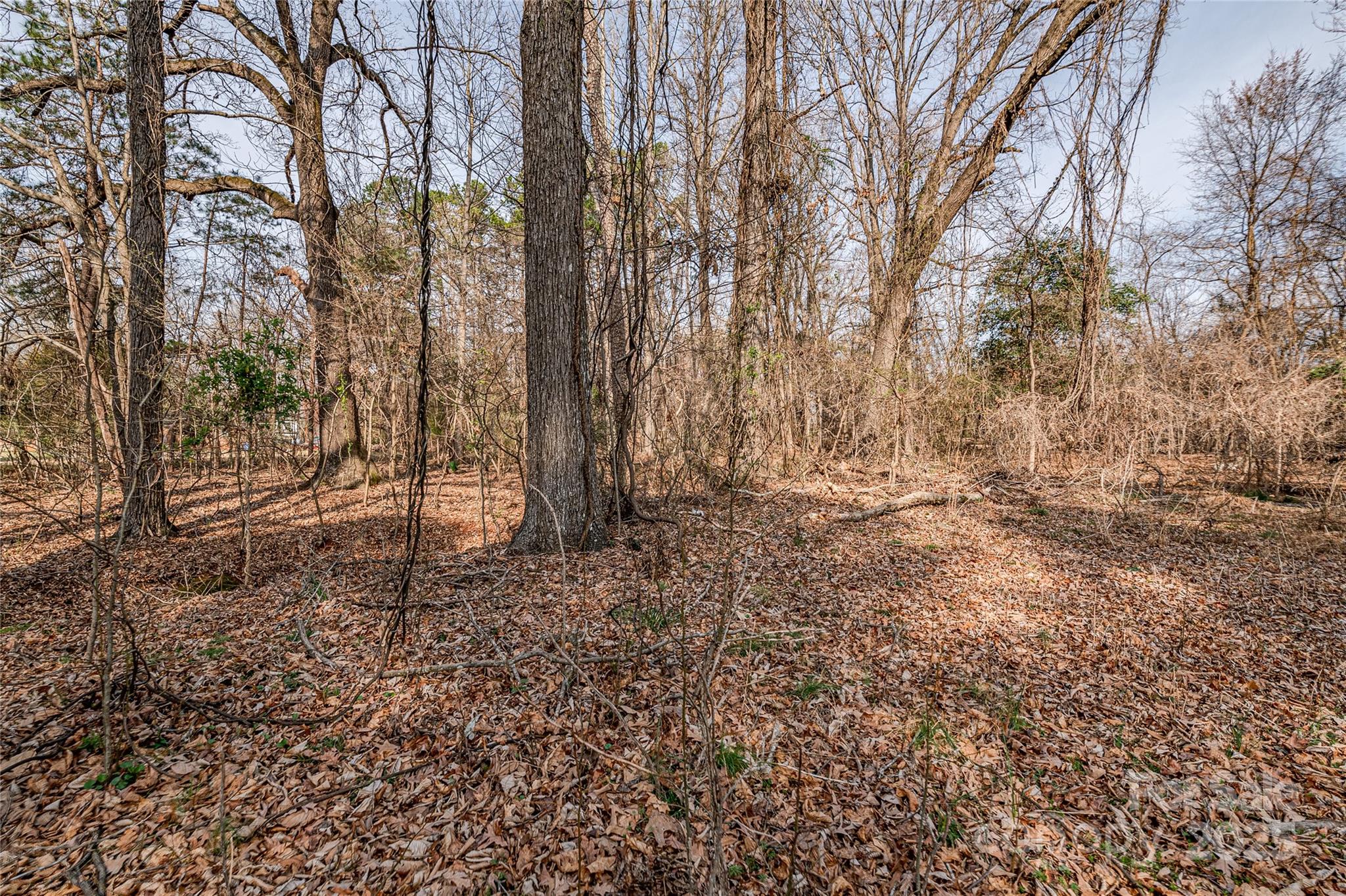 13324 Lawyers Road Property Photo 35