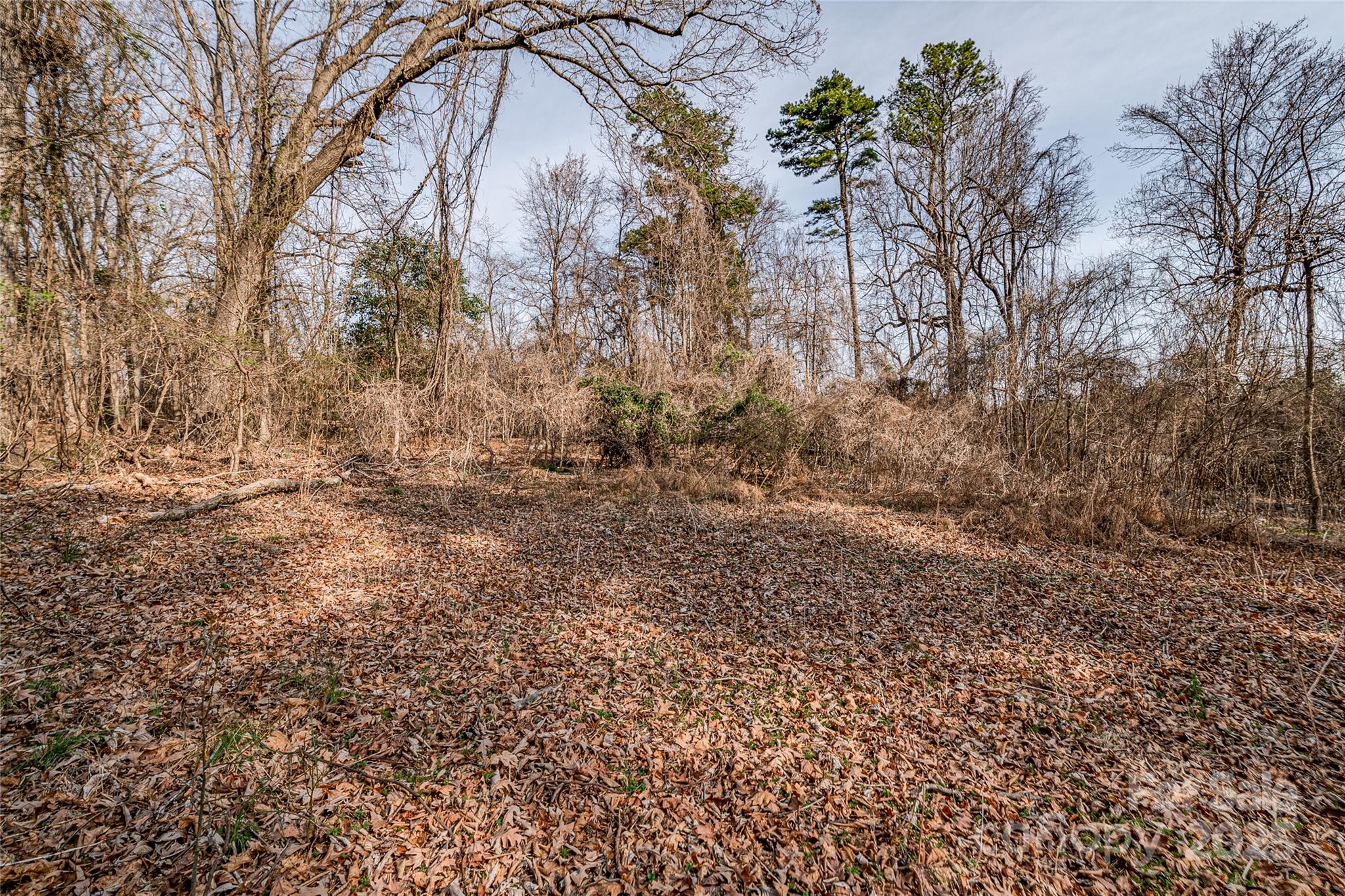 13324 Lawyers Road Property Photo 36