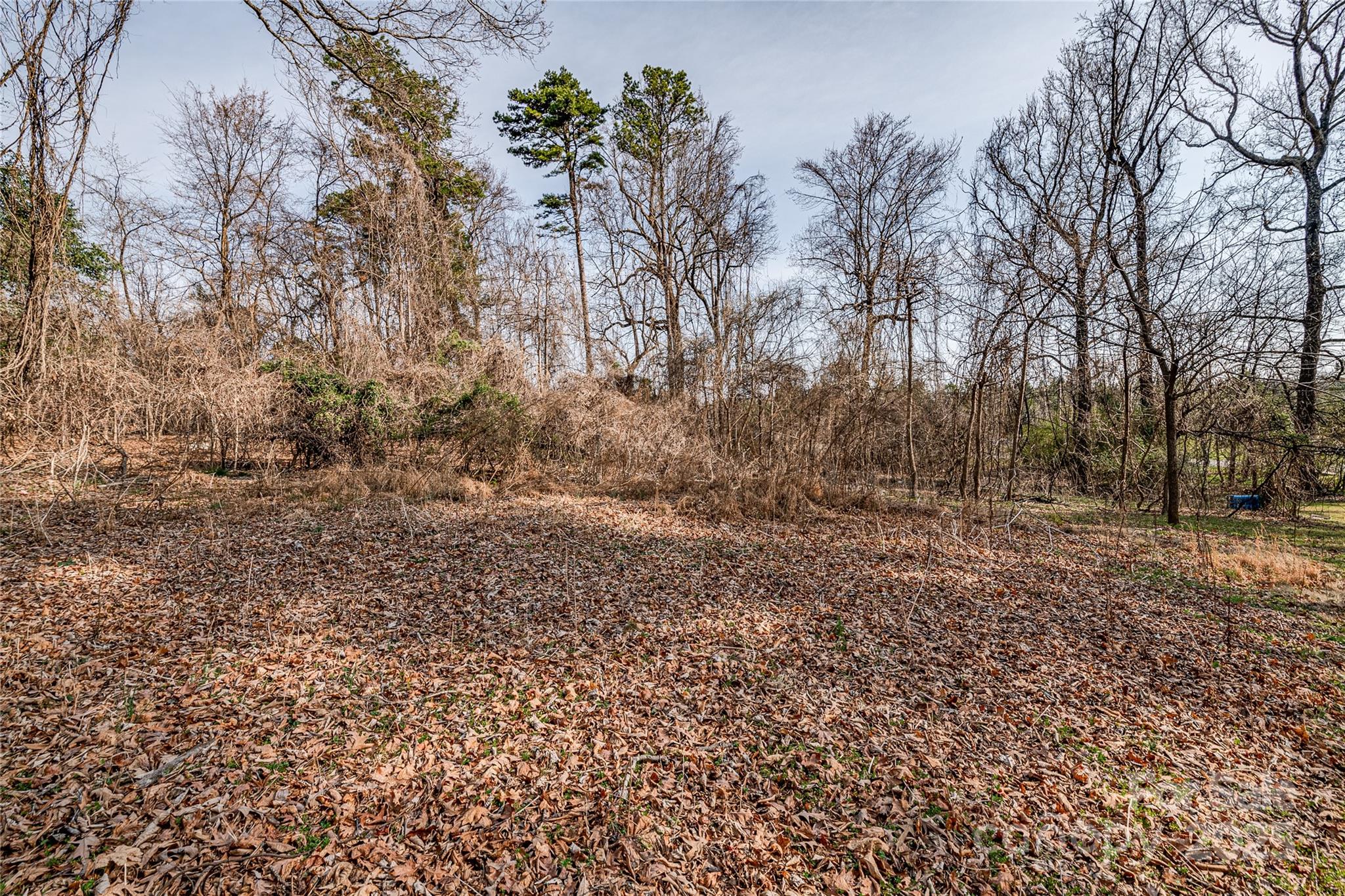 13324 Lawyers Road Property Photo 37