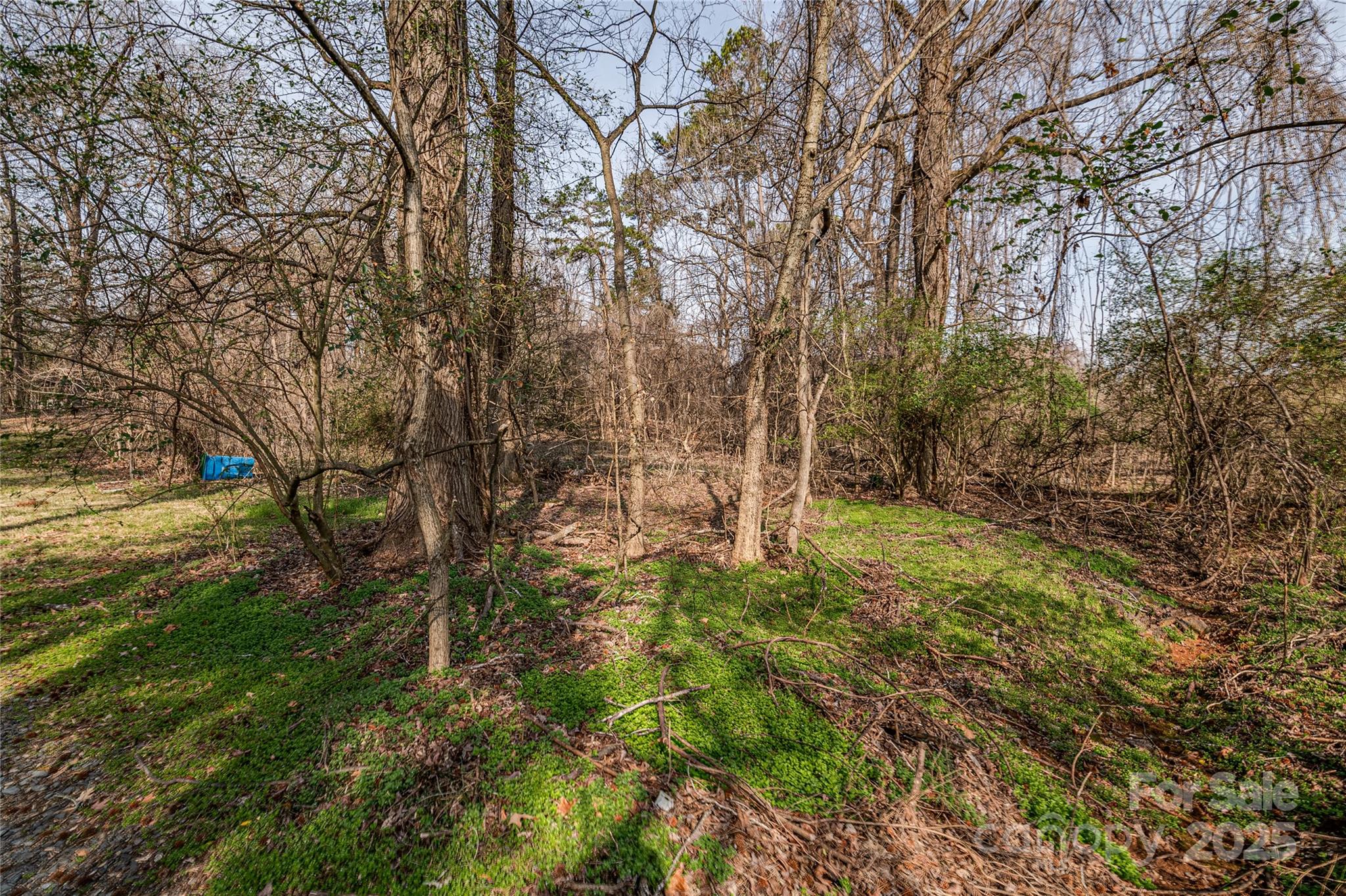 13324 Lawyers Road Property Photo 39