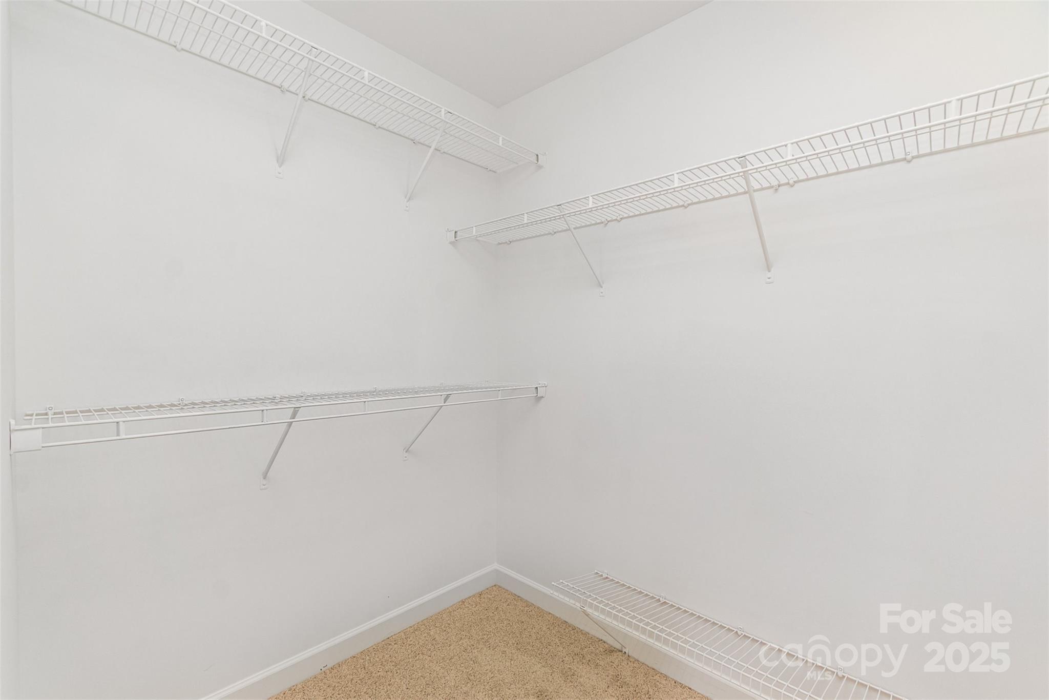 1615 Jekyll Lane Property Photo 24