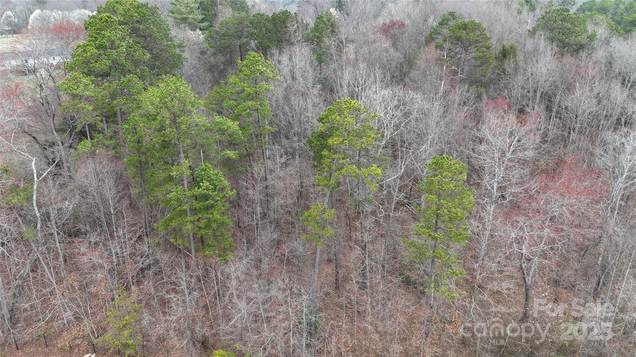00 Bowman Hills Road Property Photo 5