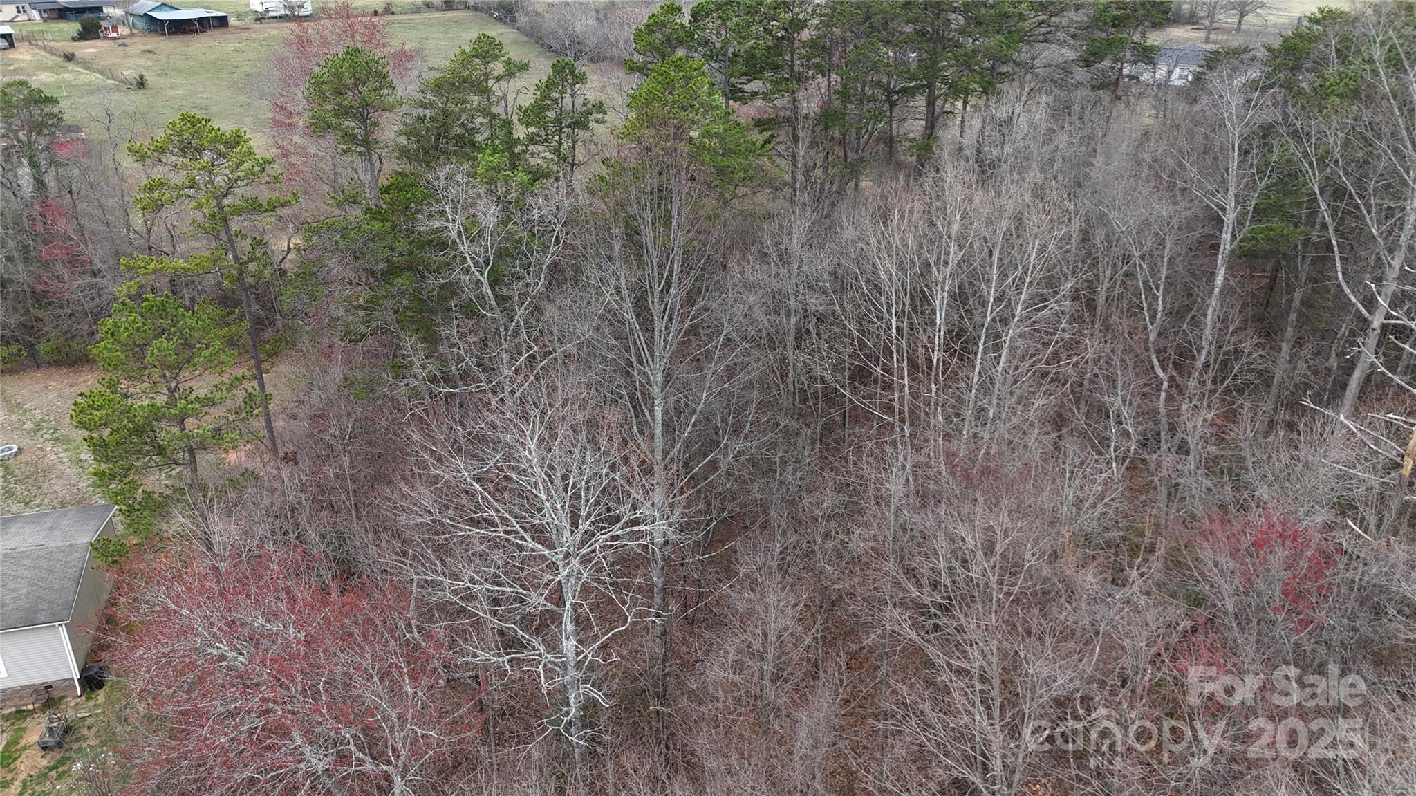 00 Bowman Hills Road Property Photo 6