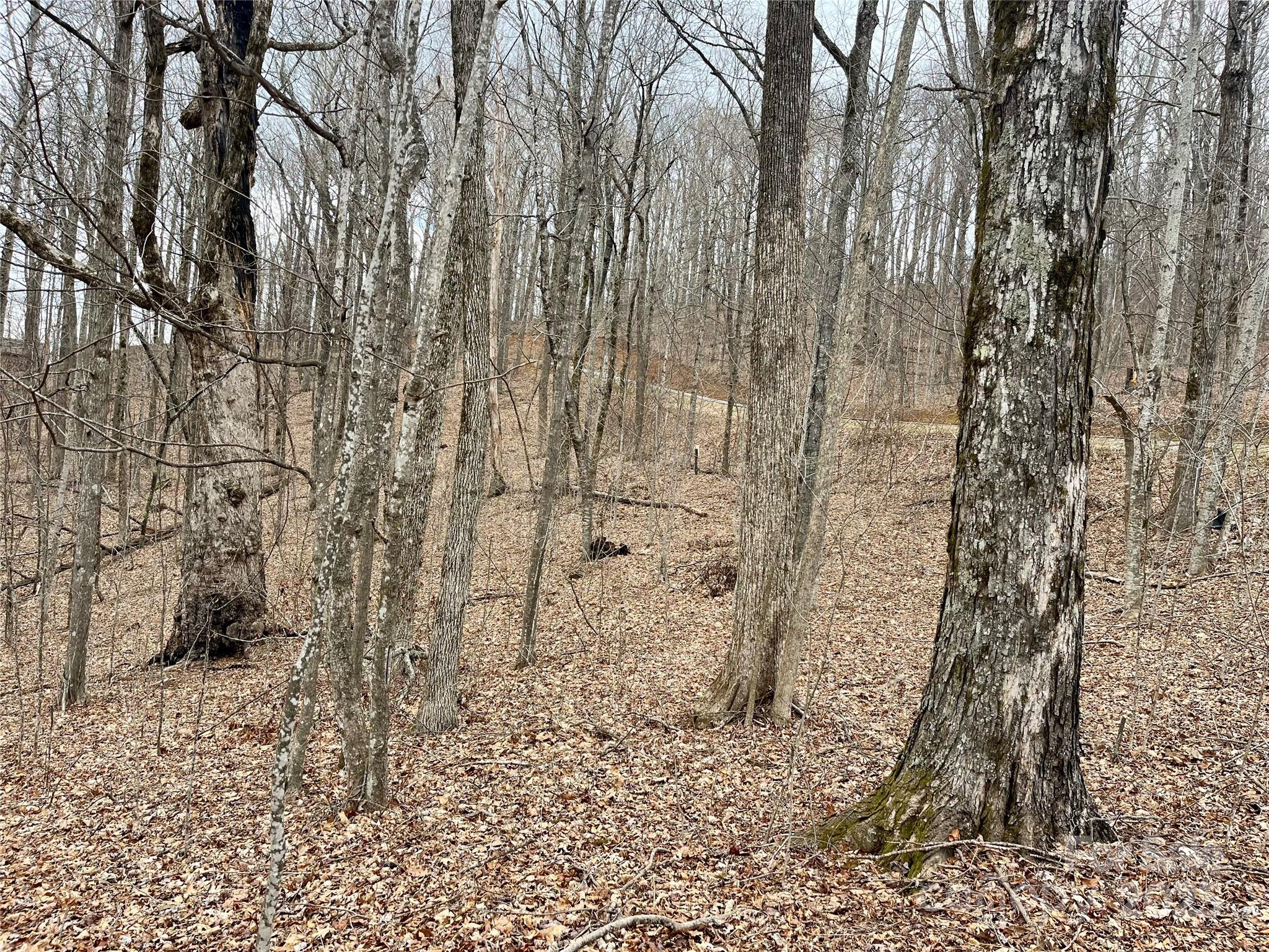 Tbd Alderfly Court Property Photo