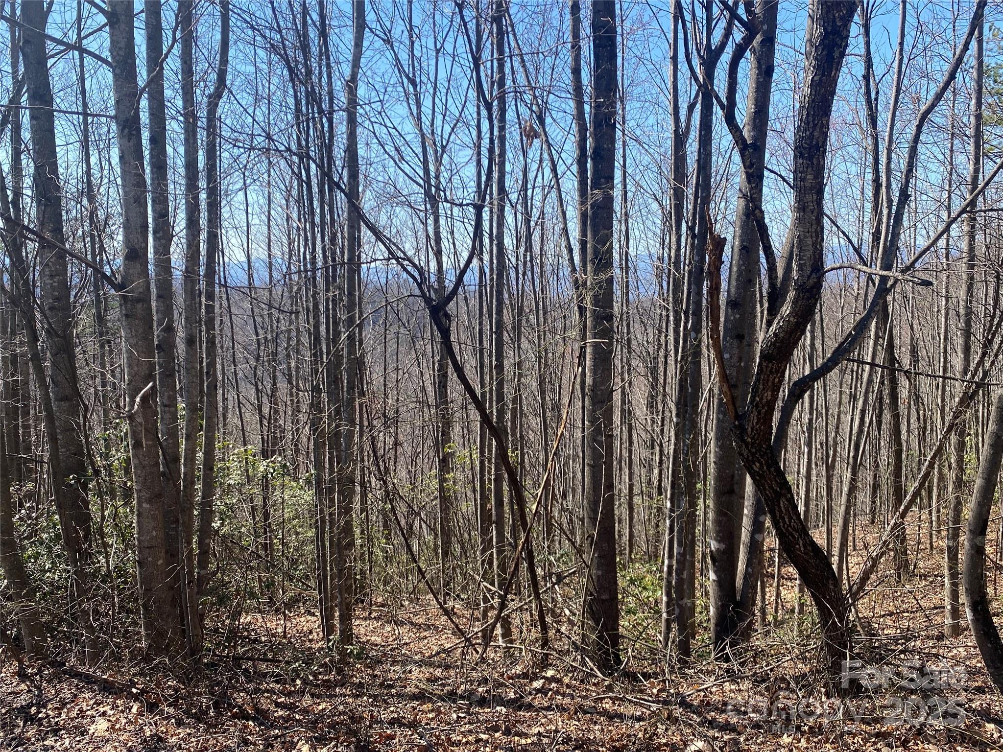 Lot 72 Mountain Crest Drive Property Photo