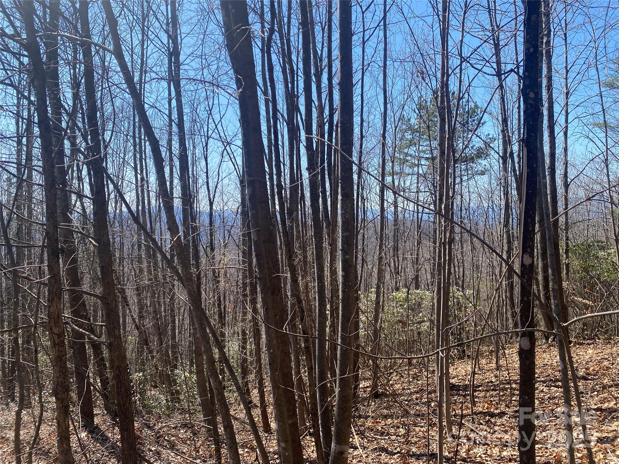 Lot 72 Mountain Crest Drive Property Photo 2