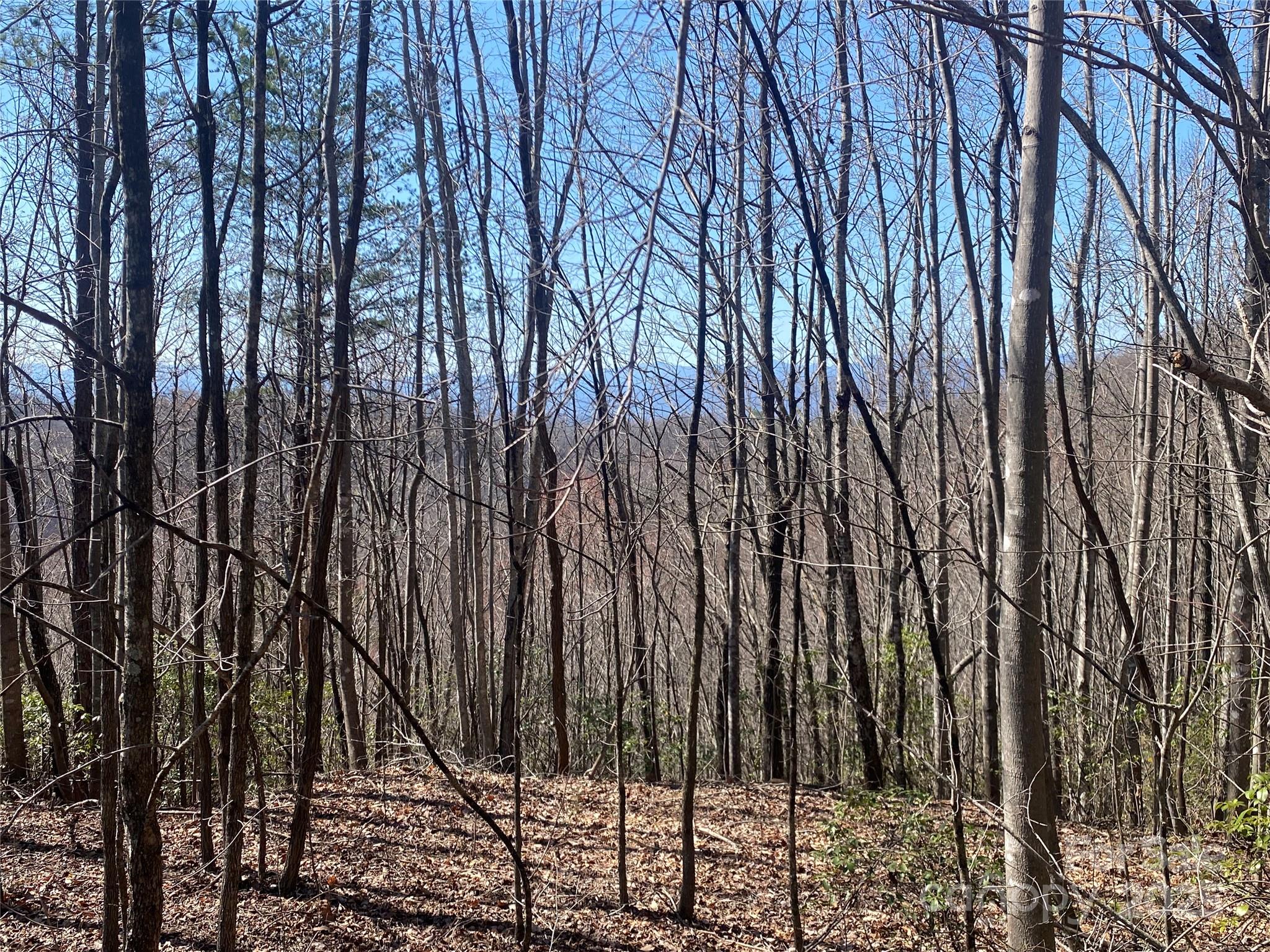Lot 72 Mountain Crest Drive Property Photo 3