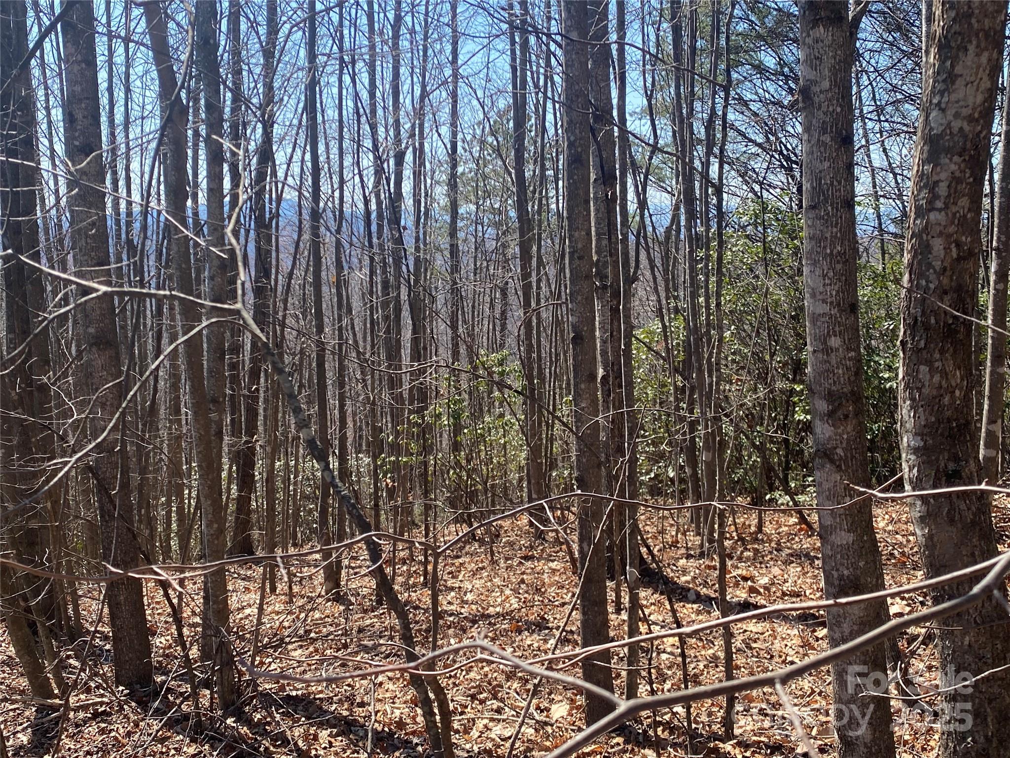 Lot 72 Mountain Crest Drive Property Photo 4