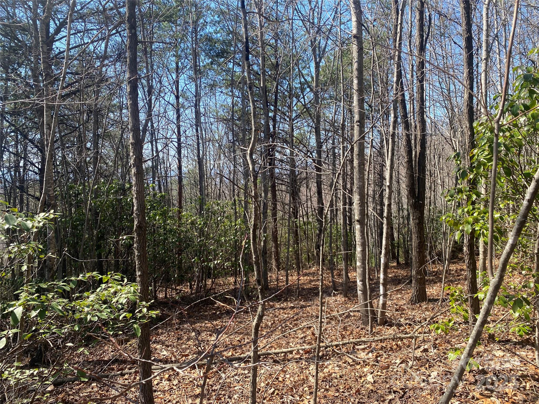 Lot 72 Mountain Crest Drive Property Photo 5