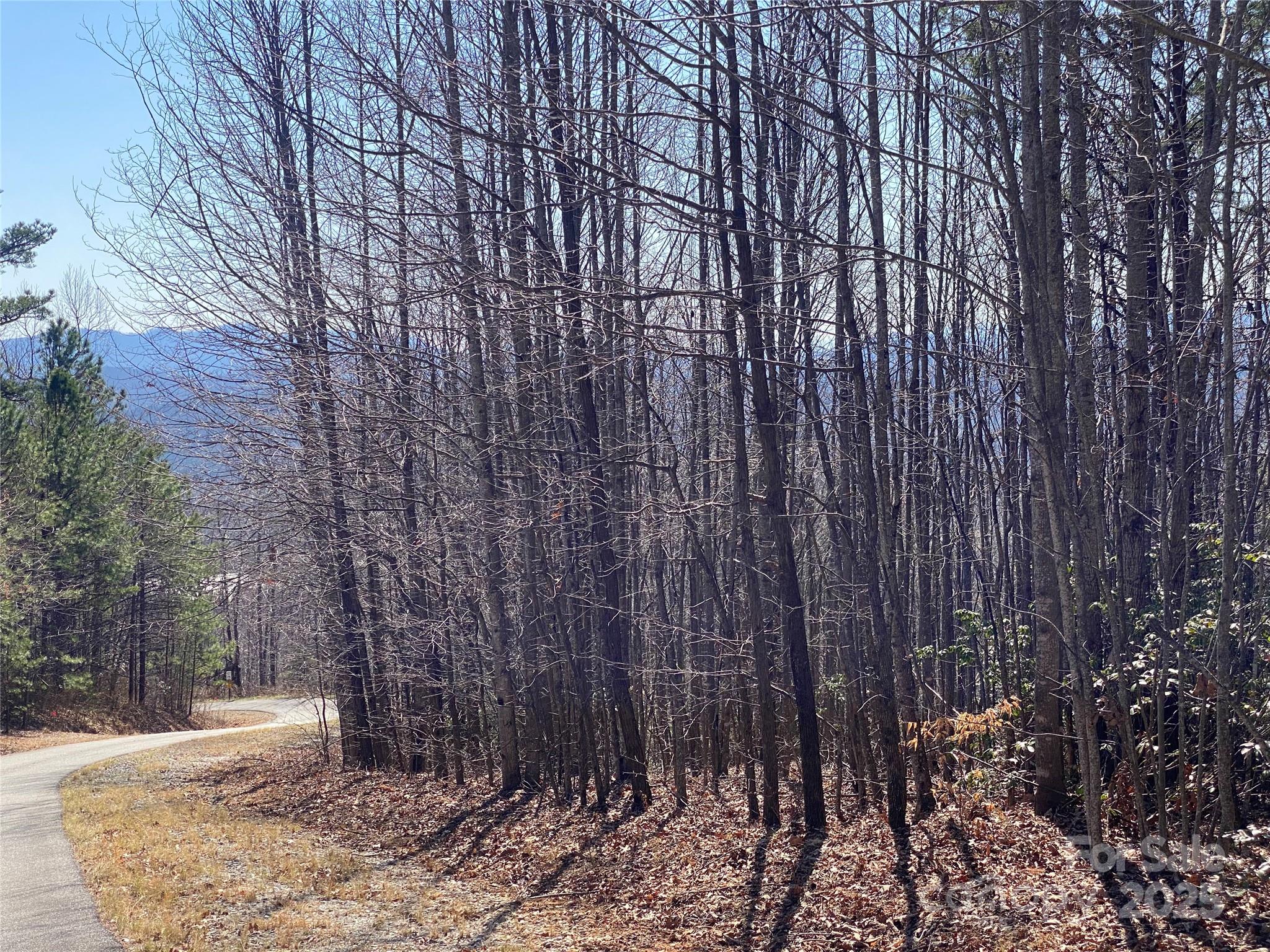 Lot 72 Mountain Crest Drive Property Photo 6