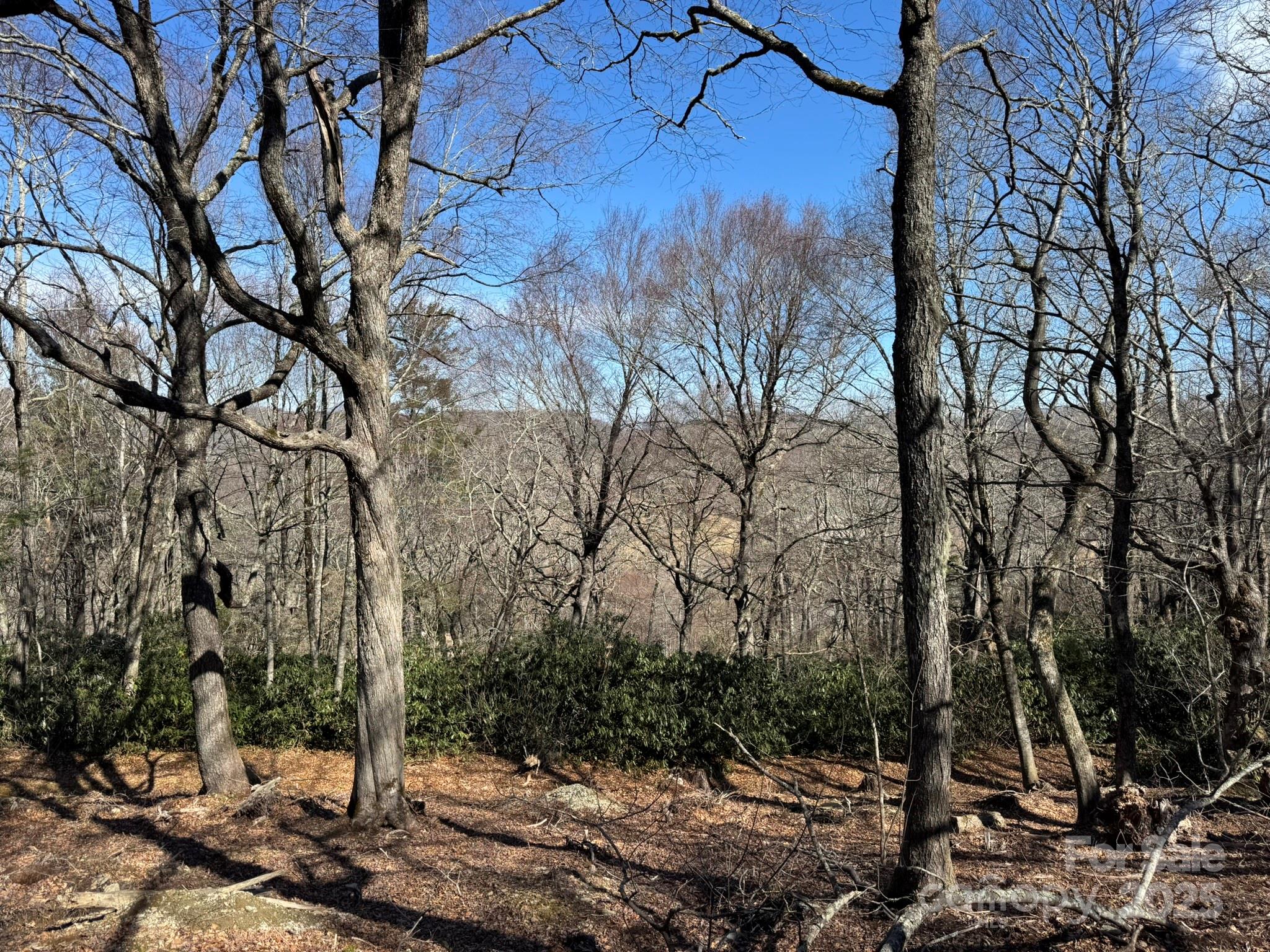 Lot 240 Thunder Wood Trail 240 Property Photo