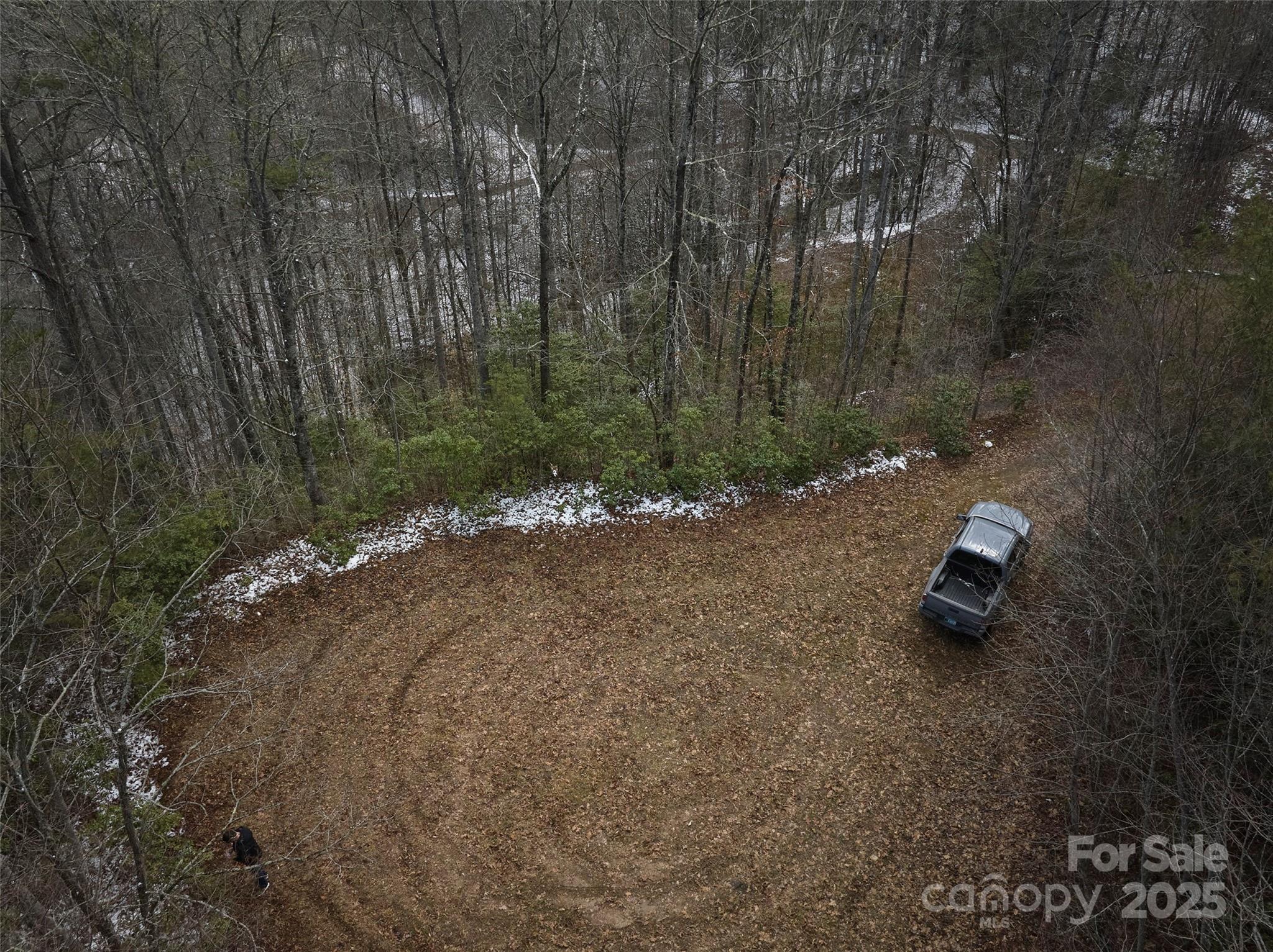 0 Jenkins Branch Road Property Photo 7