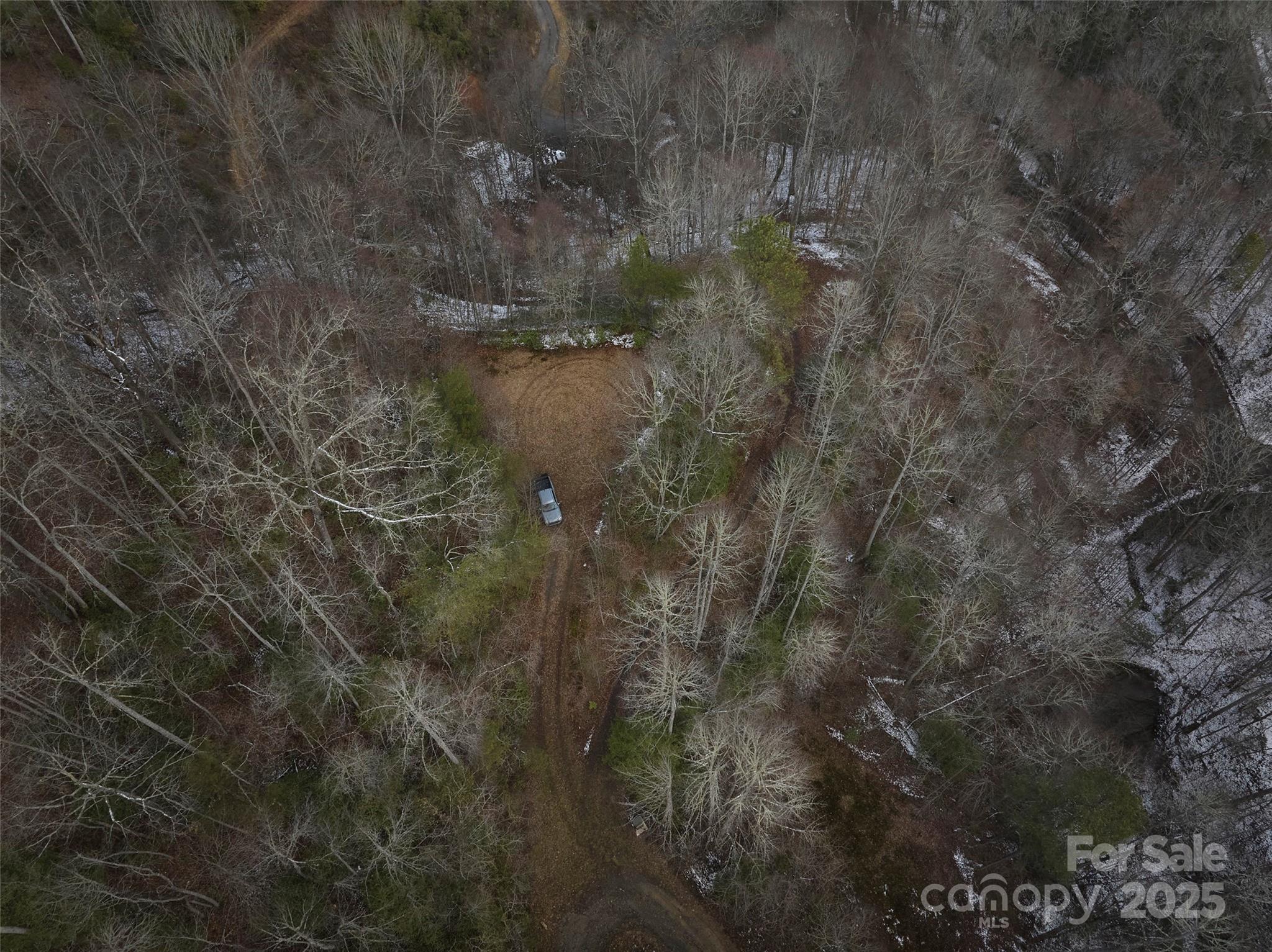 0 Jenkins Branch Road Property Photo 9