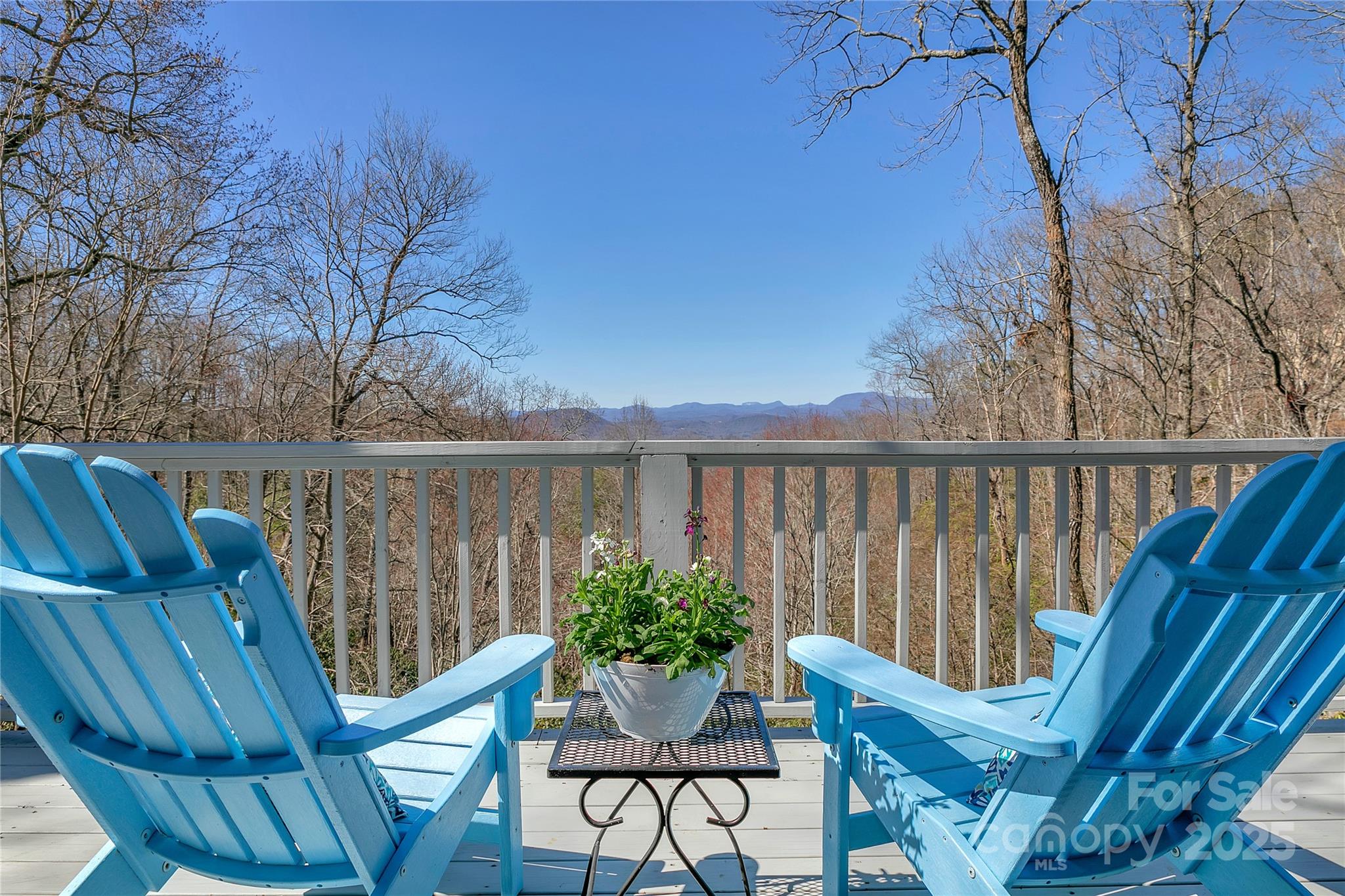 2600 Connestee Trail Property Photo 3