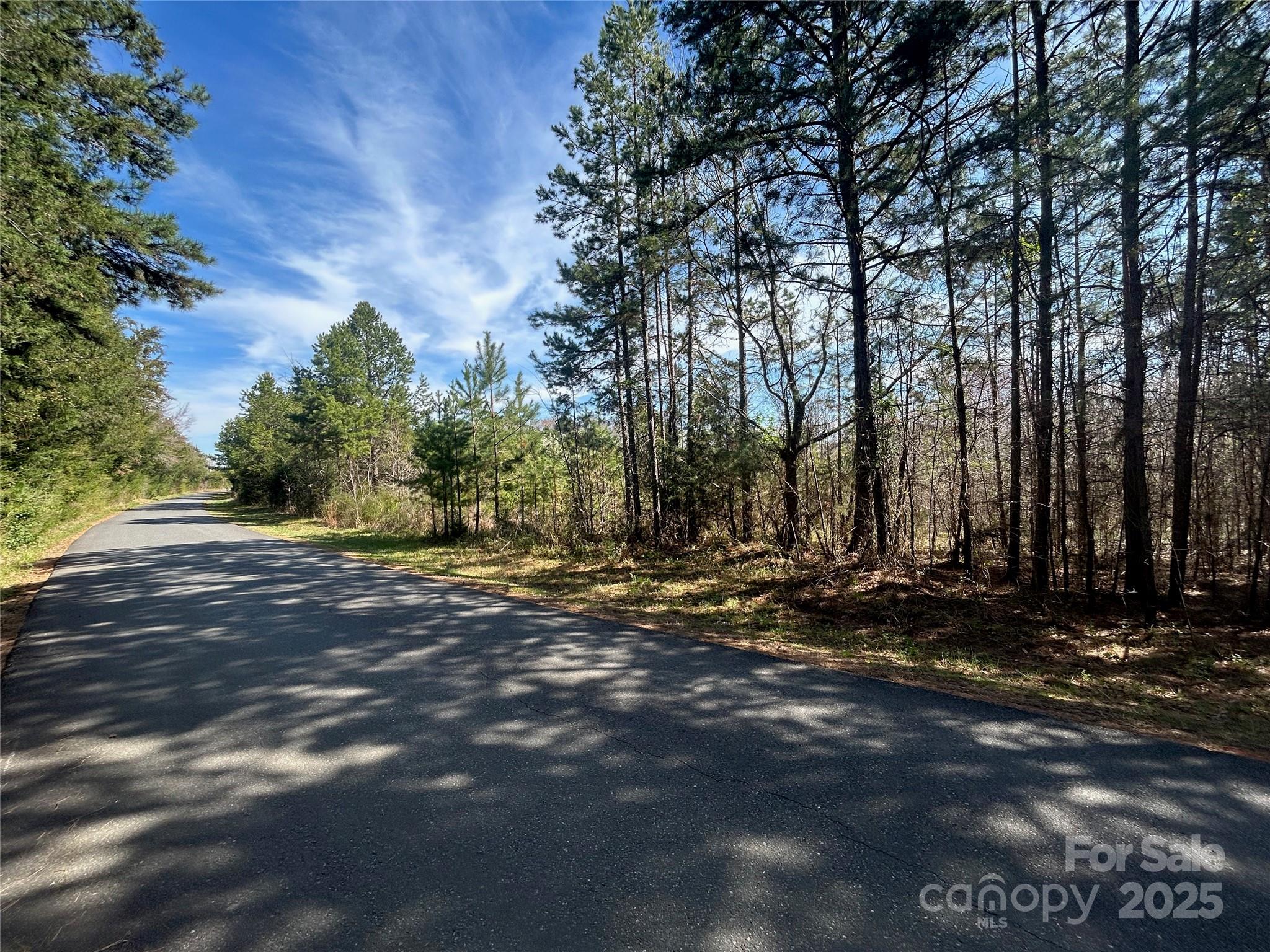 Tbd Green Pond Road Property Photo 2