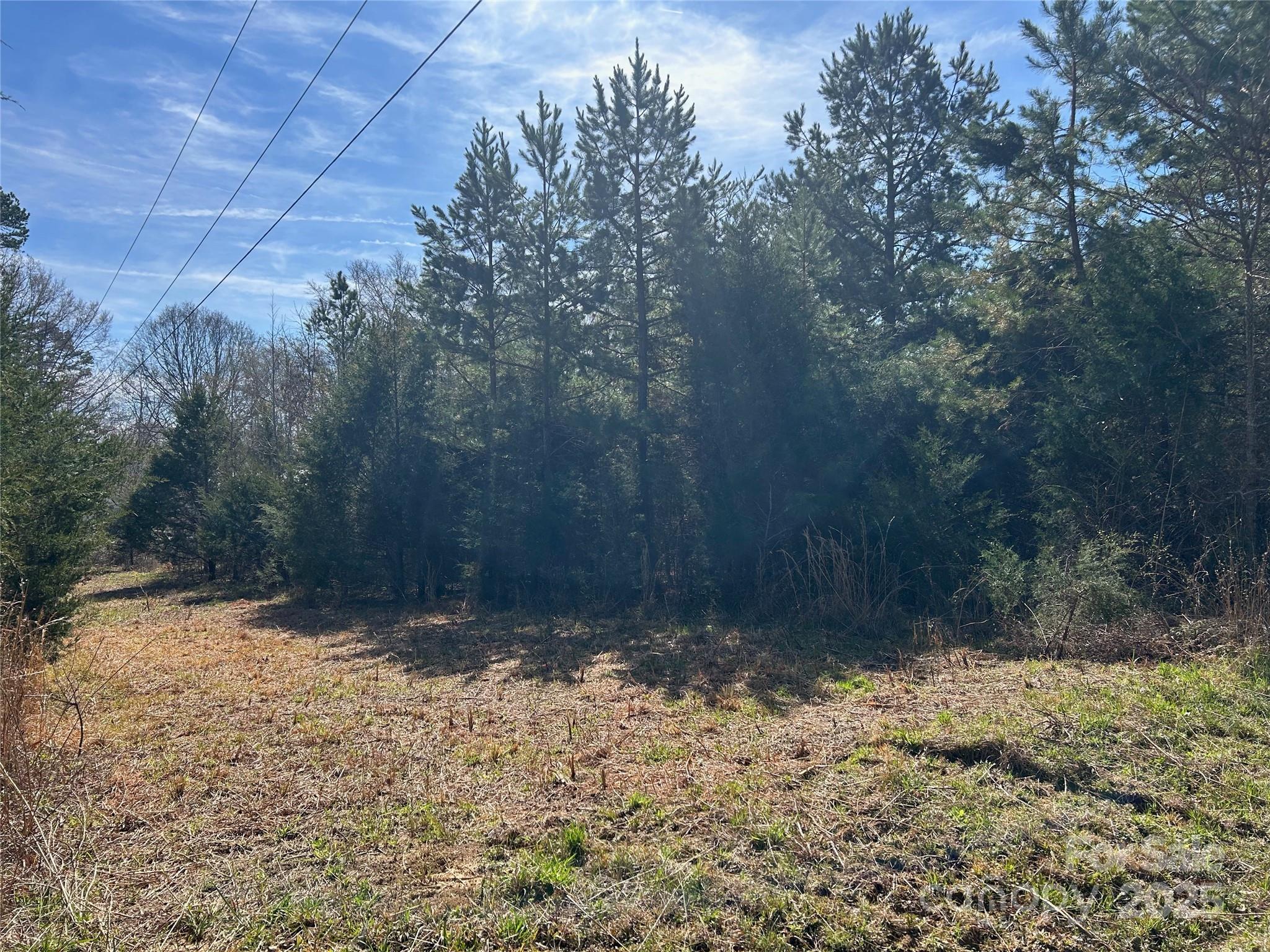 Tbd Green Pond Road Property Photo 3