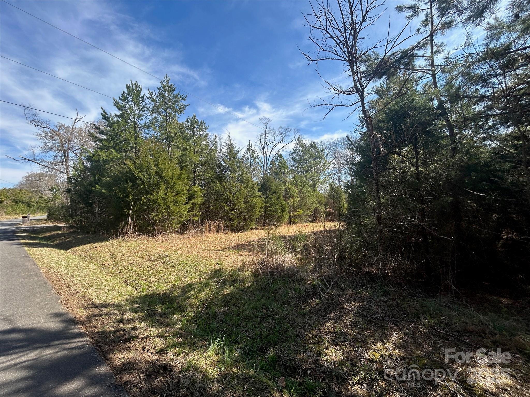 Tbd Green Pond Road Property Photo 4