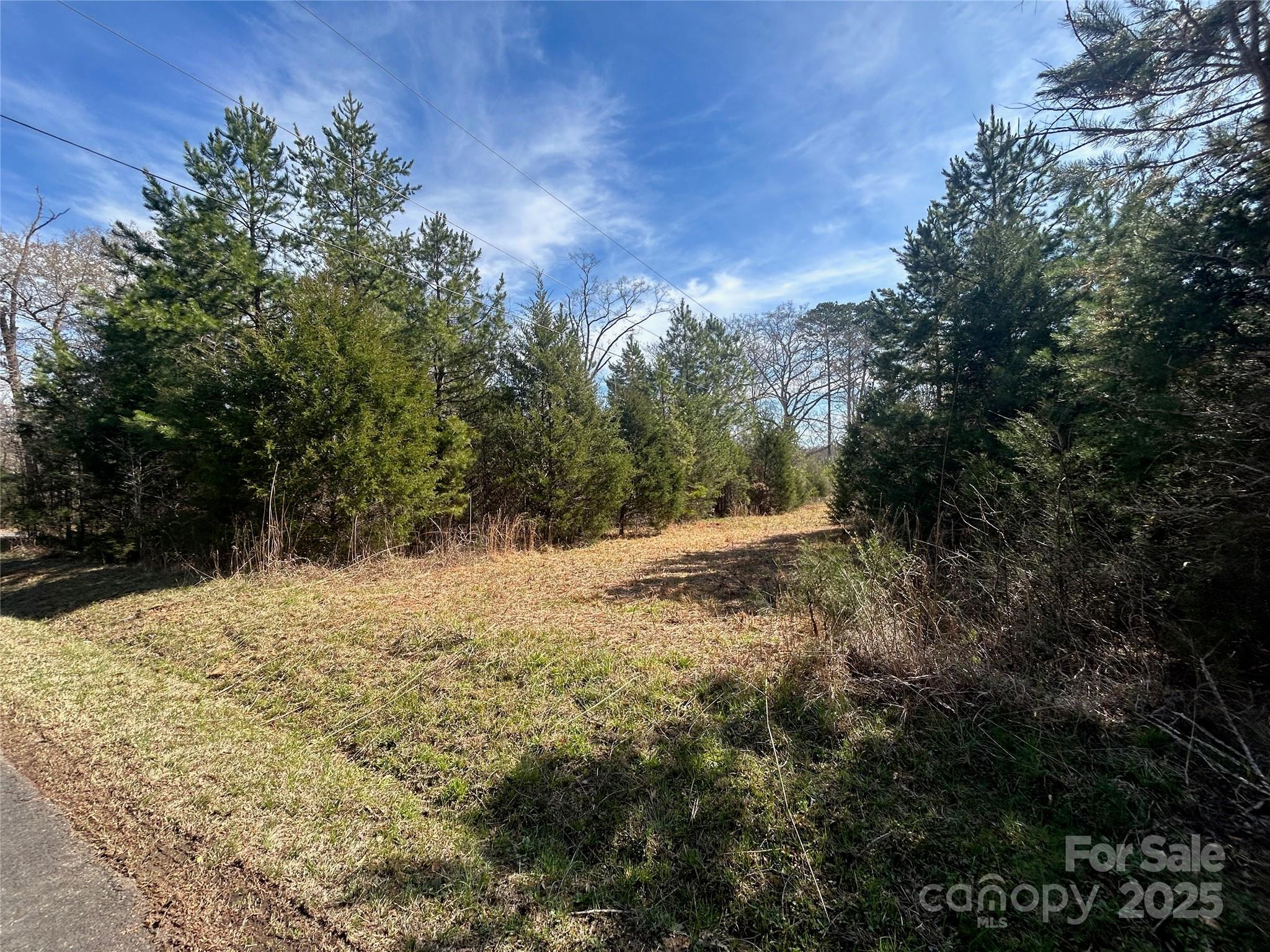 Tbd Green Pond Road Property Photo 6