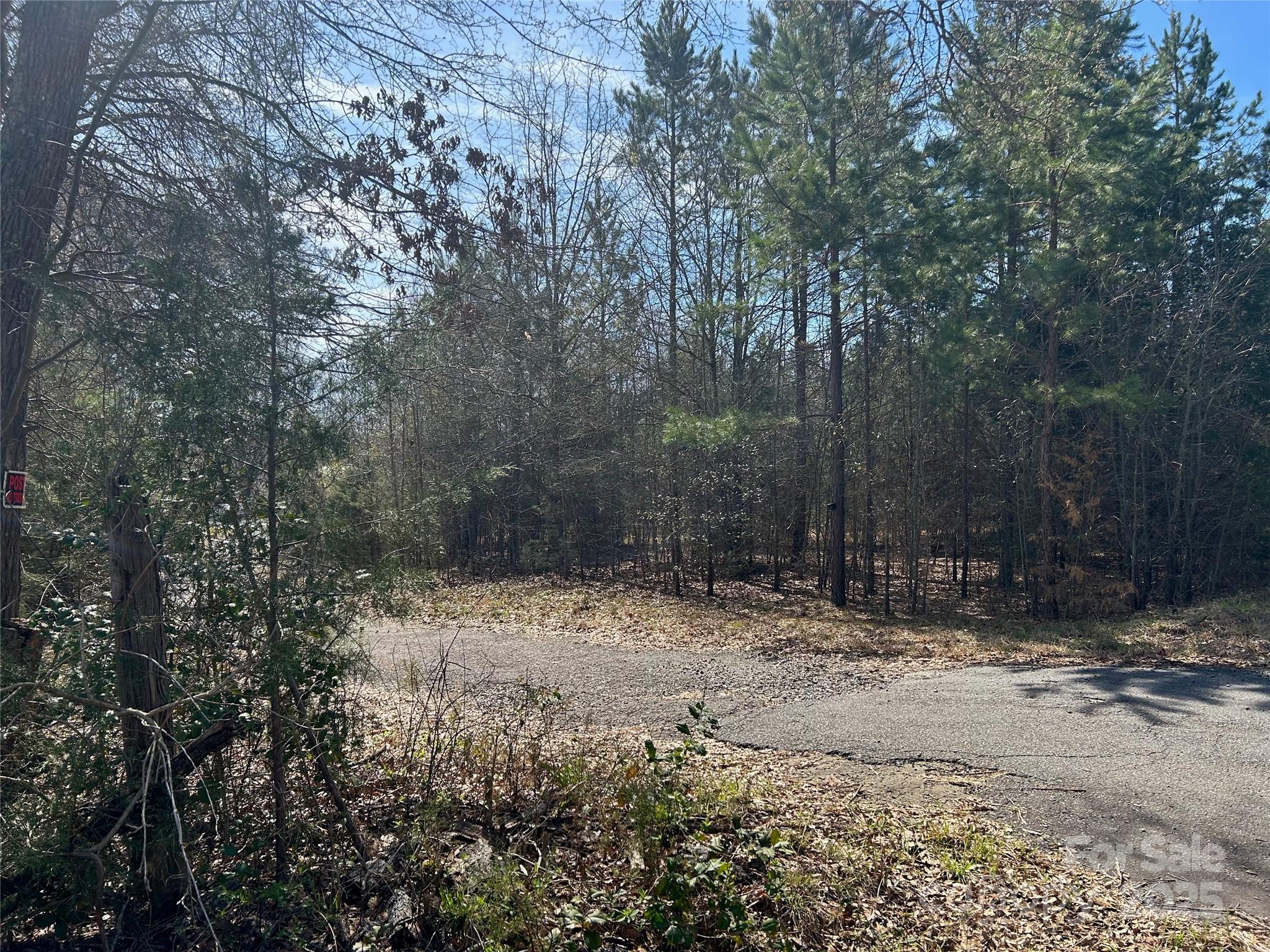 Tbd Green Pond Road Property Photo 7