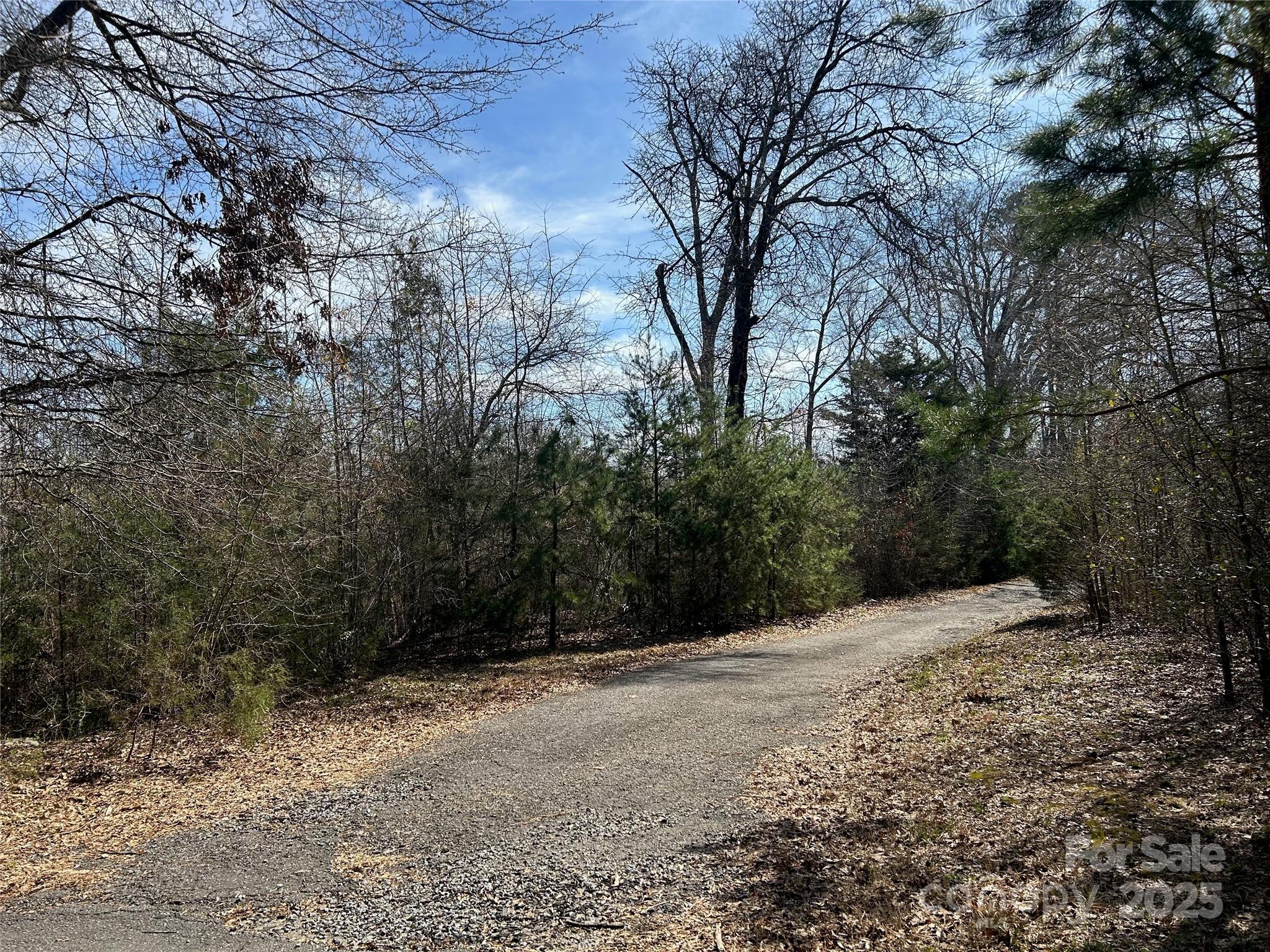 Tbd Green Pond Road Property Photo 8