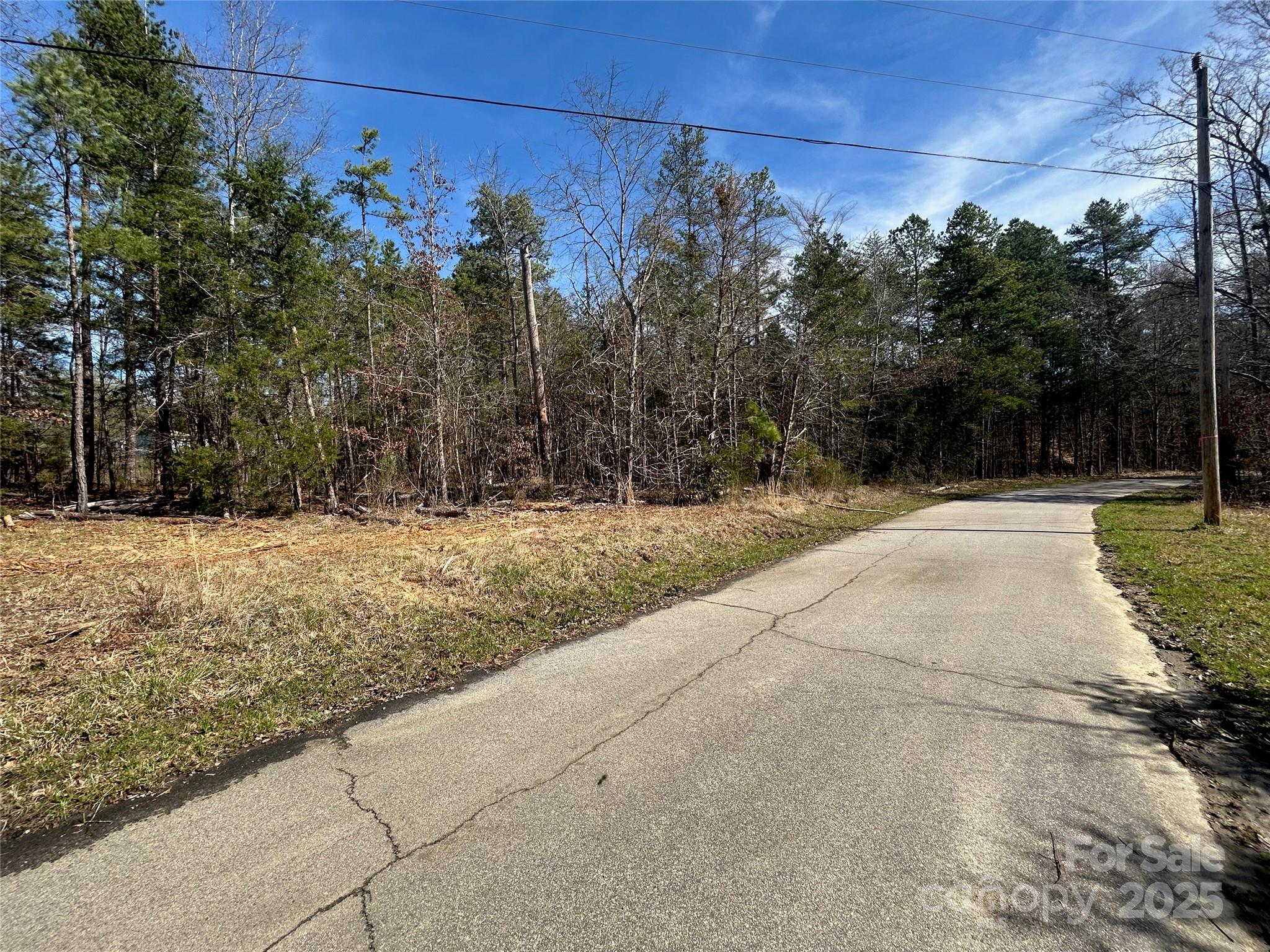 Tbd Green Pond Road Property Photo 15
