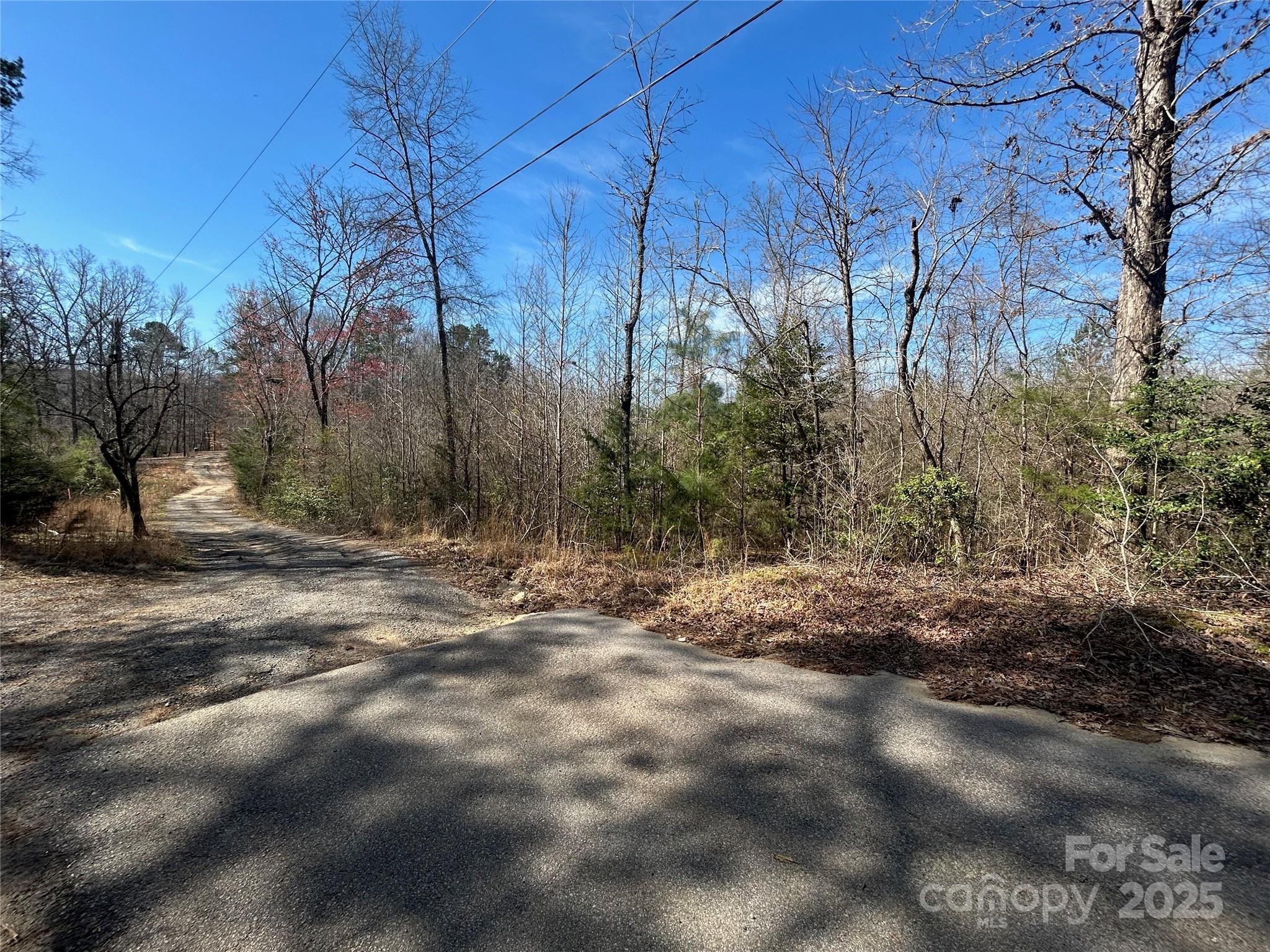 Tbd Green Pond Road Property Photo 16