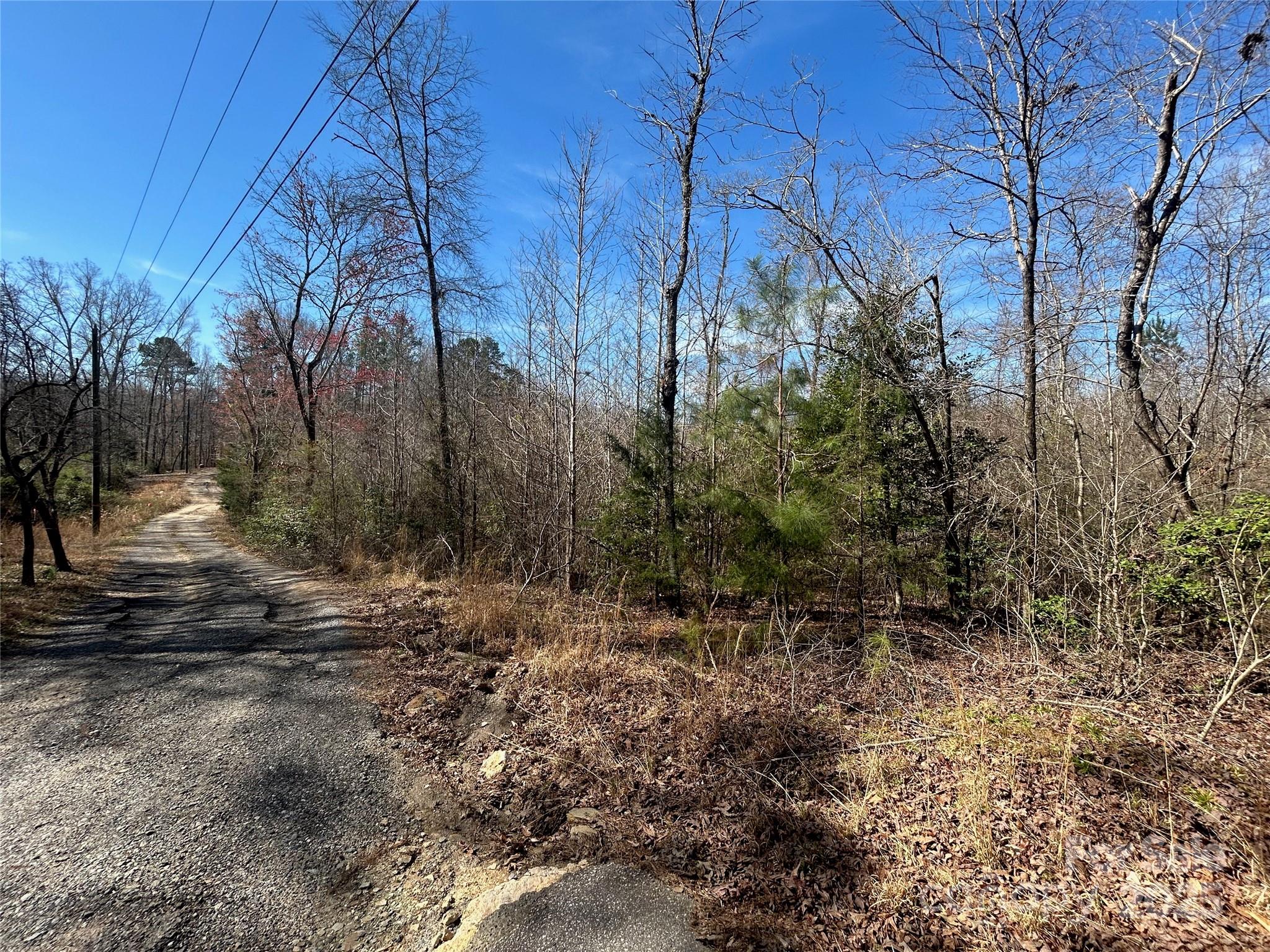 Tbd Green Pond Road Property Photo 17