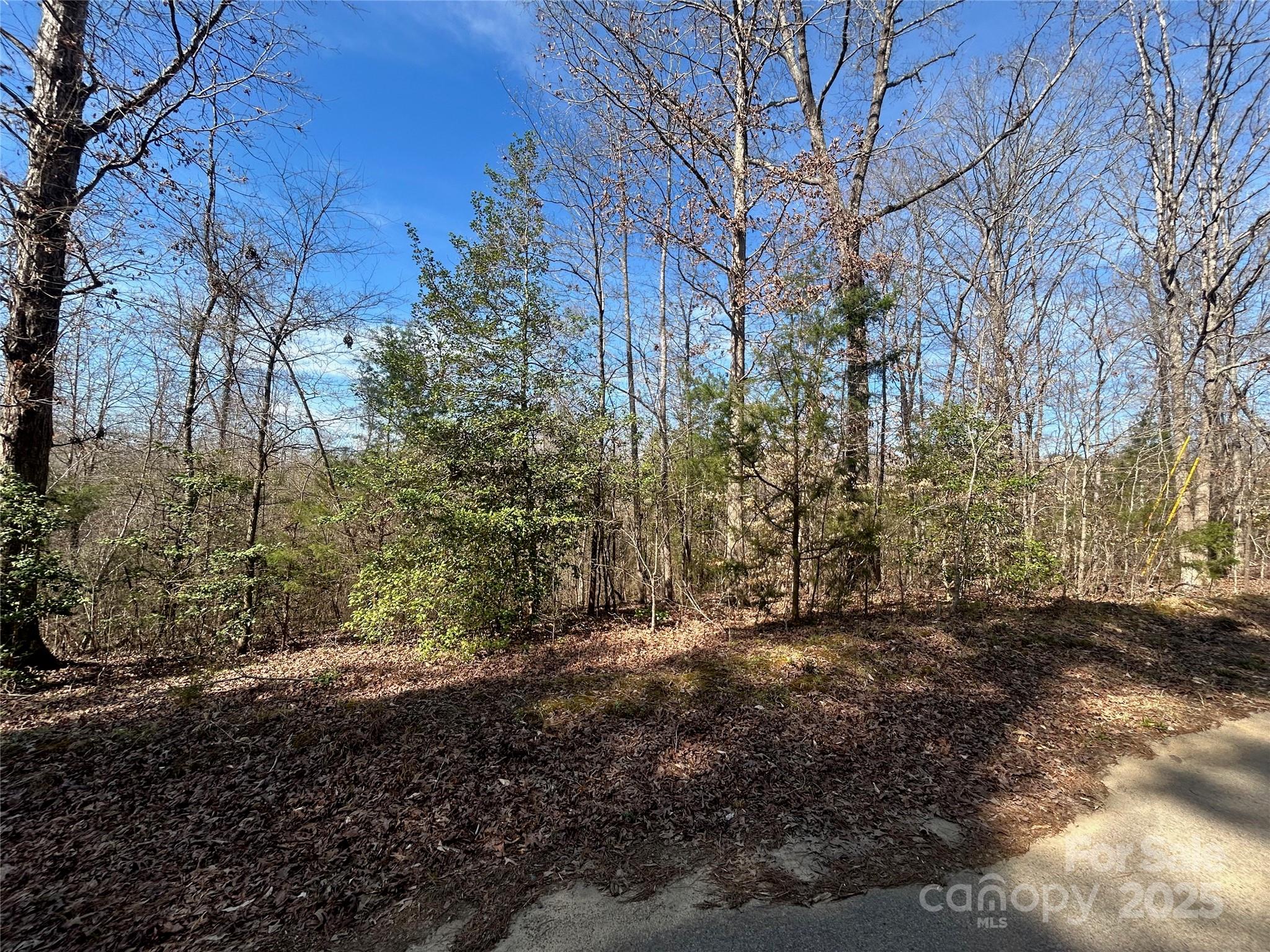 Tbd Green Pond Road Property Photo 18