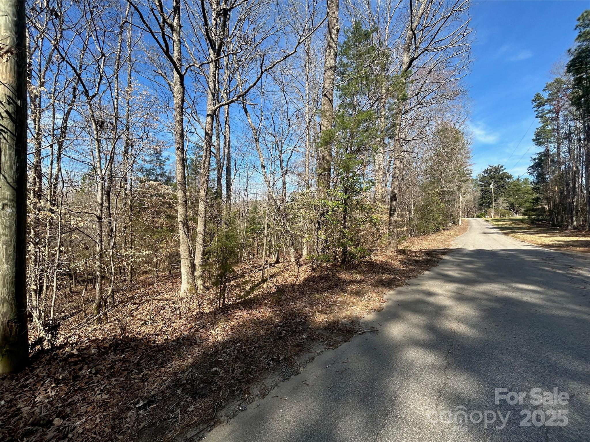 Tbd Green Pond Road Property Photo 19