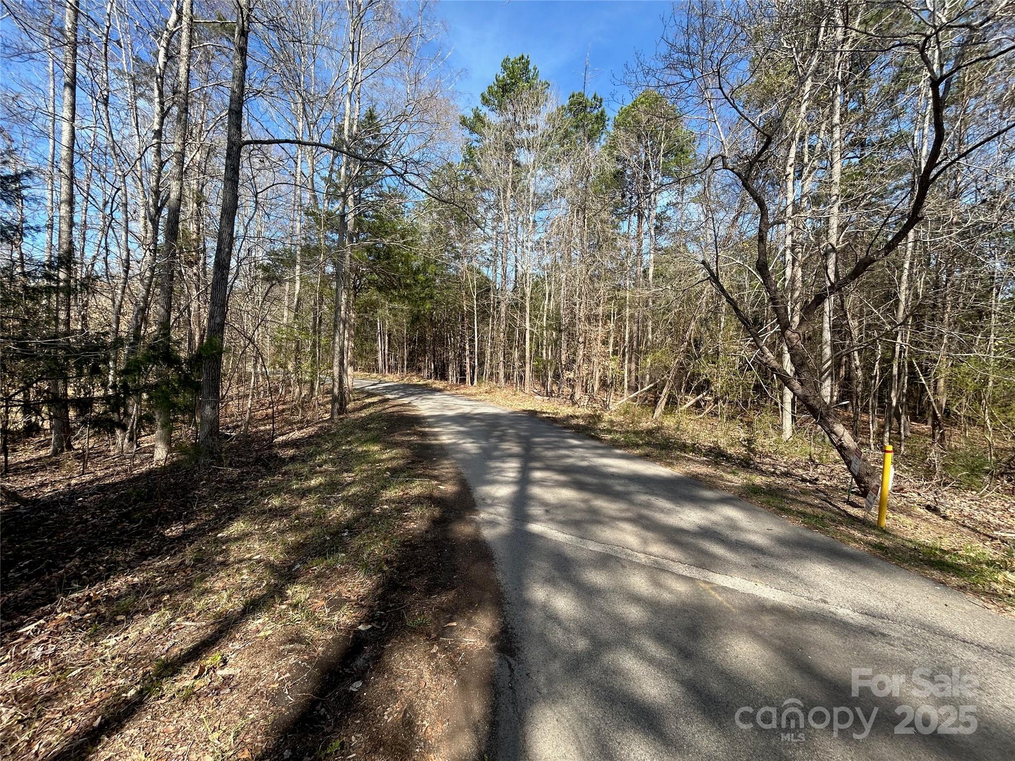 Tbd Green Pond Road Property Photo 20