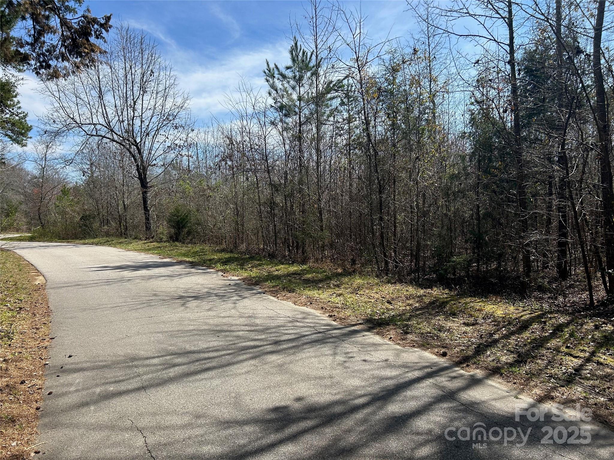 Tbd Green Pond Road Property Photo 21