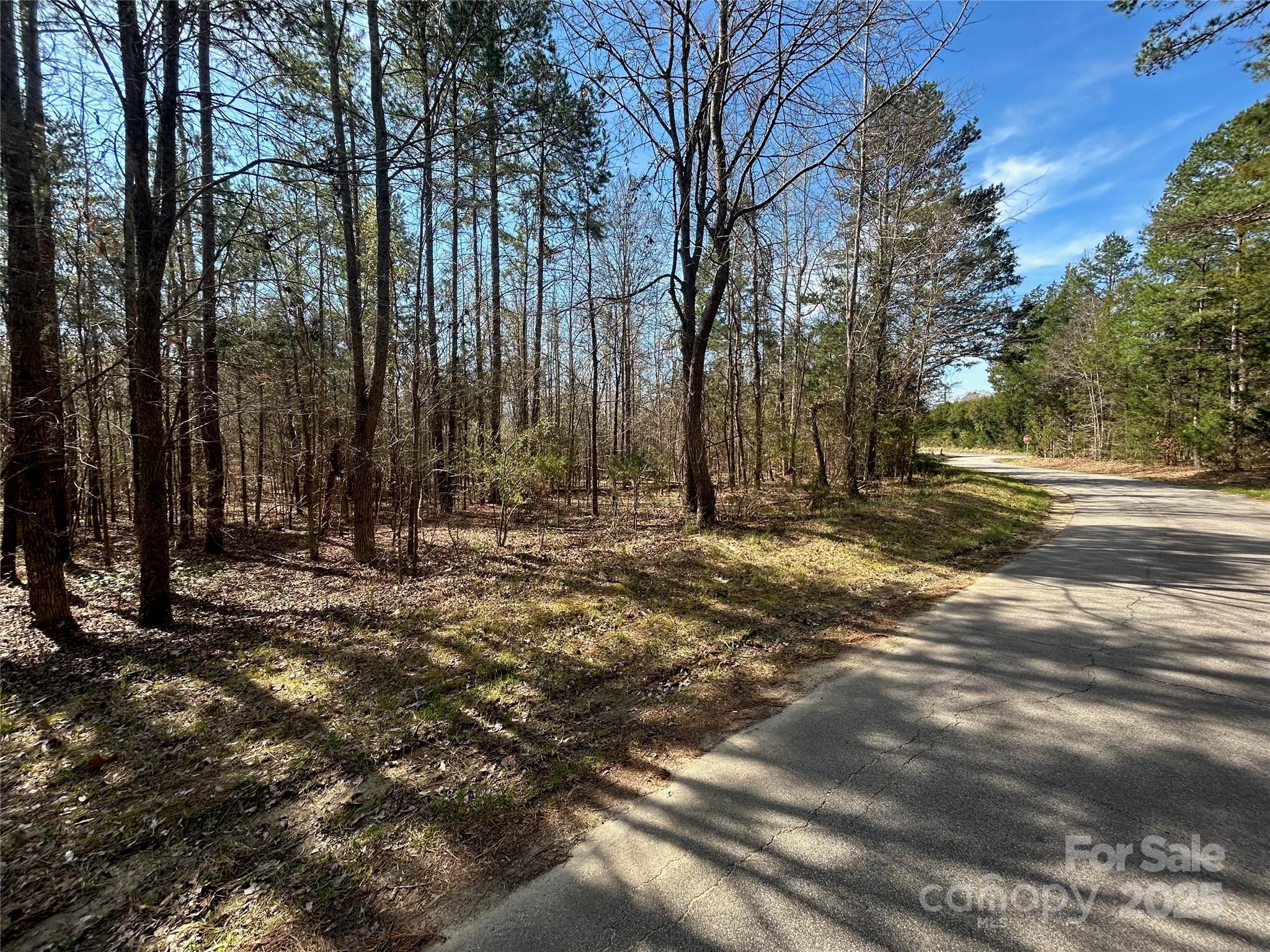 Tbd Green Pond Road Property Photo 22