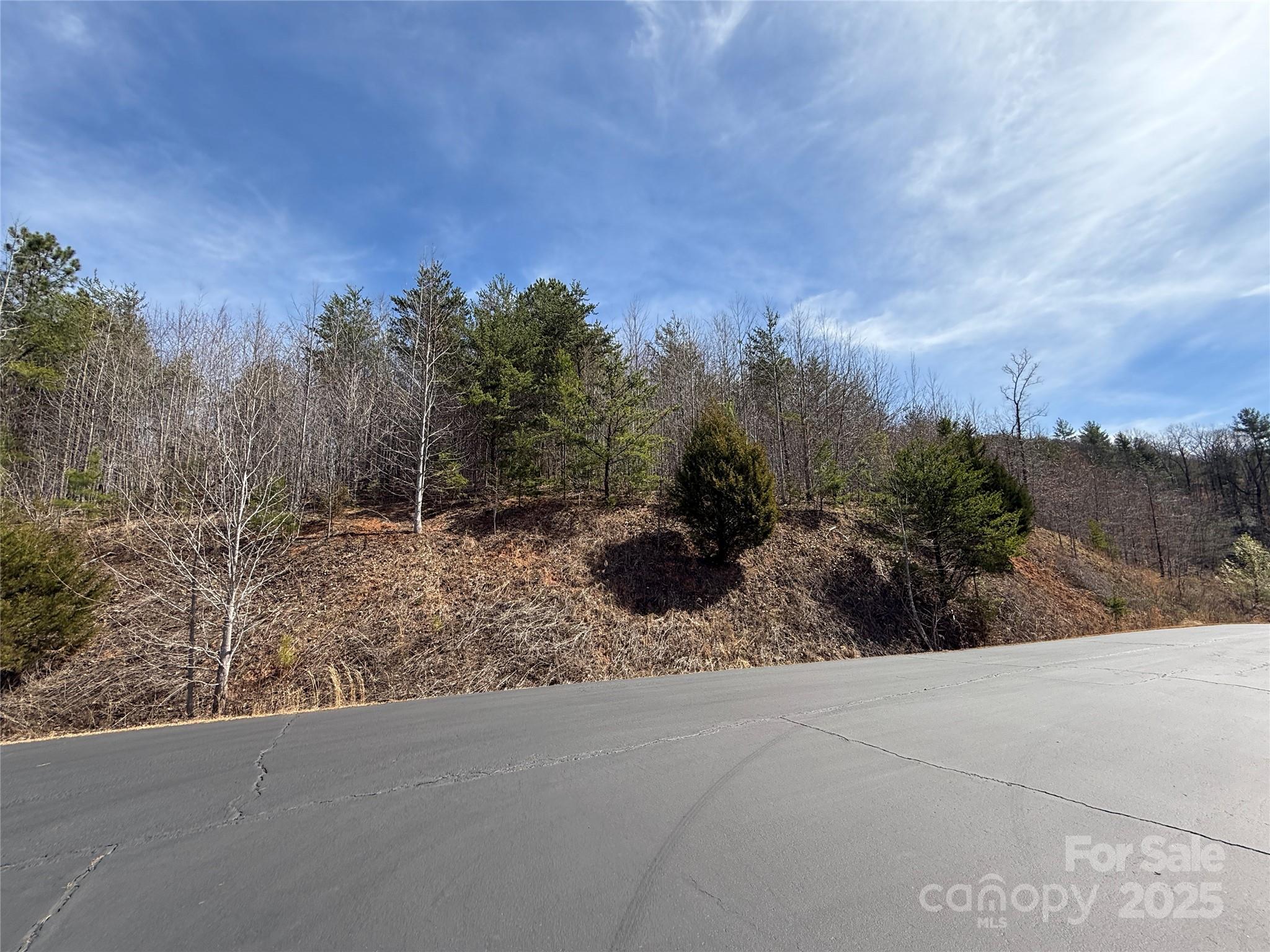 0 Pinegrove Drive Property Photo 9