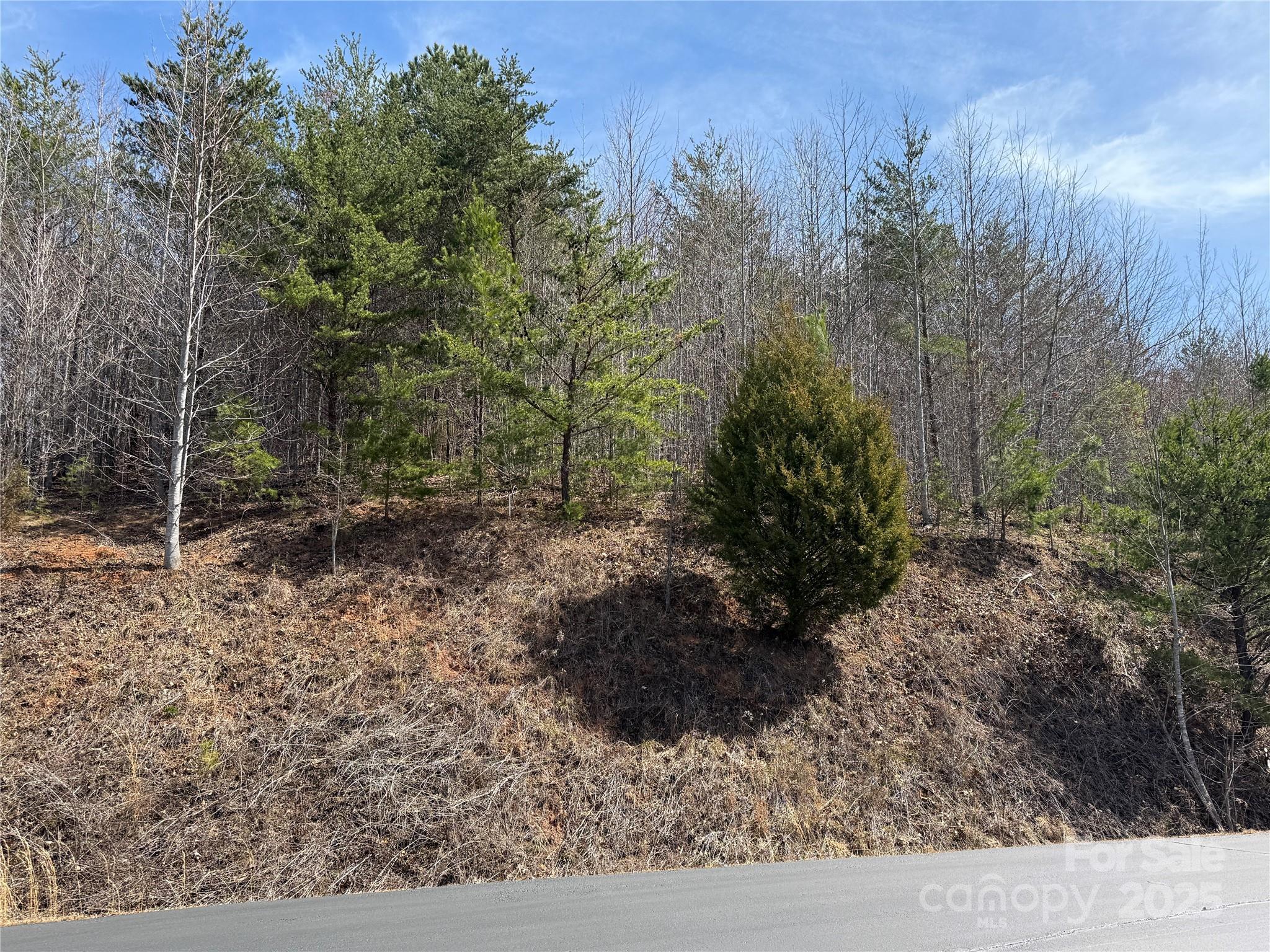 0 Pinegrove Drive Property Photo 10