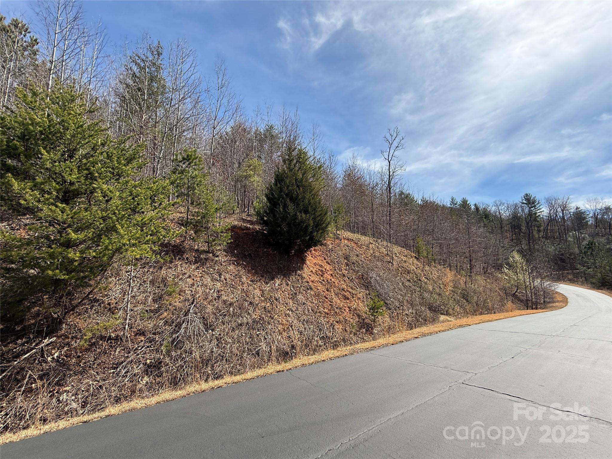 0 Pinegrove Drive Property Photo 11