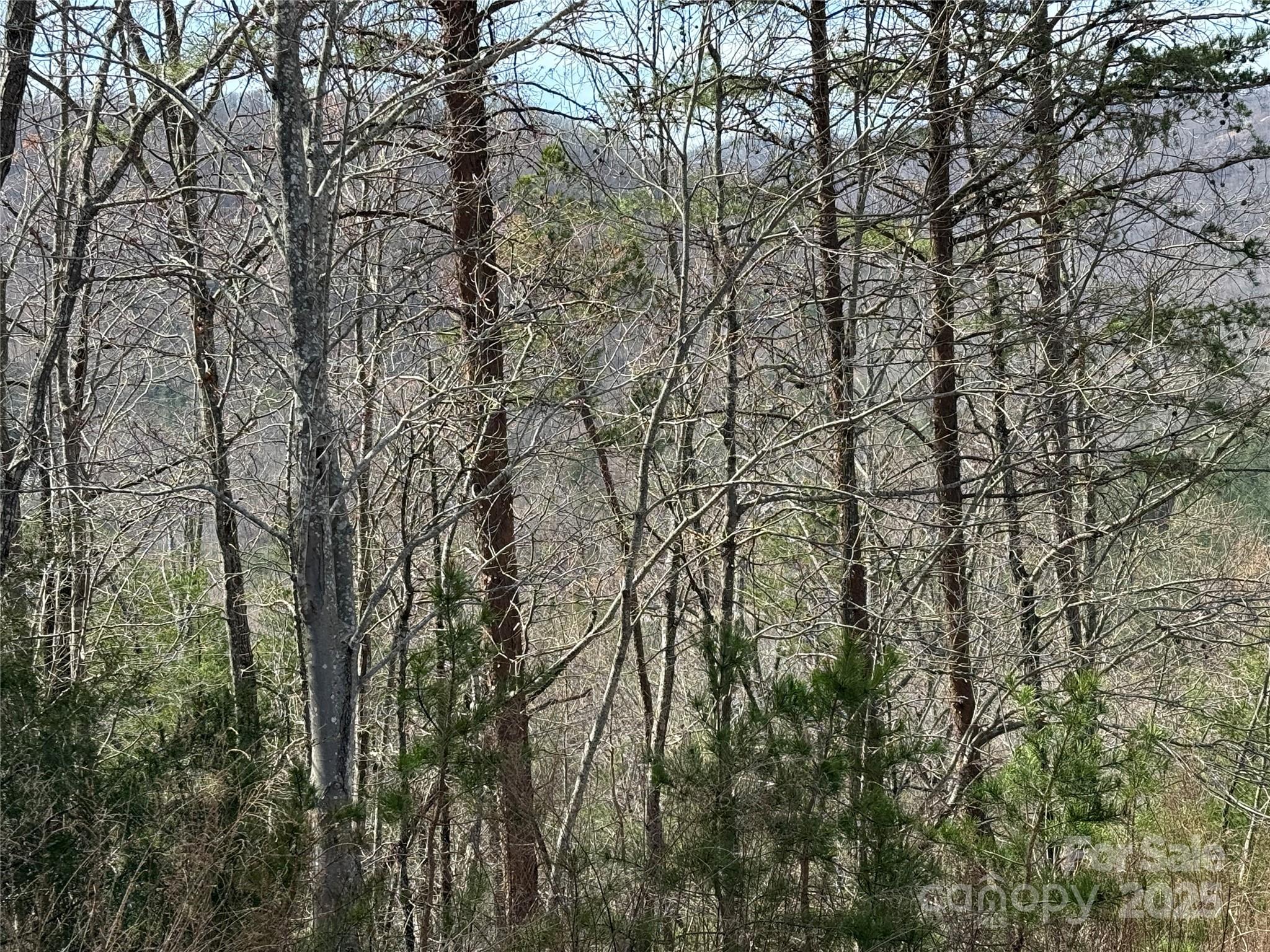 0 Pinegrove Drive Property Photo 12