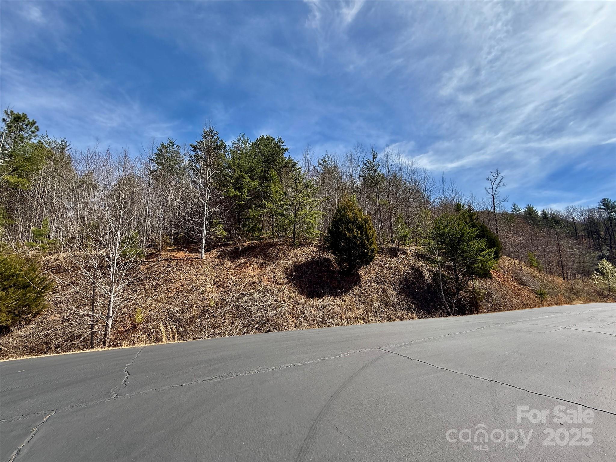 0 Pinegrove Drive Property Photo 16