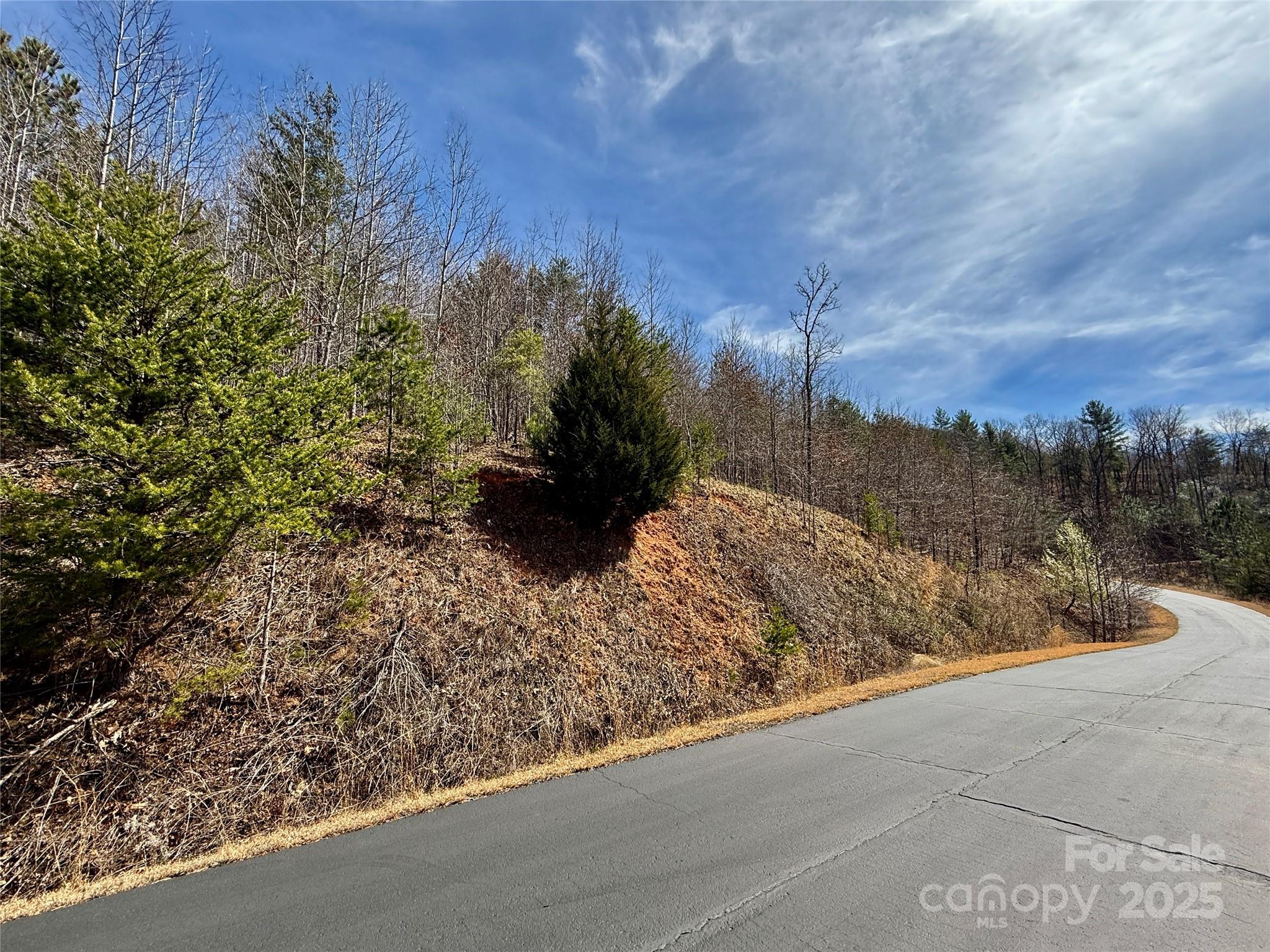 0 Pinegrove Drive Property Photo 18