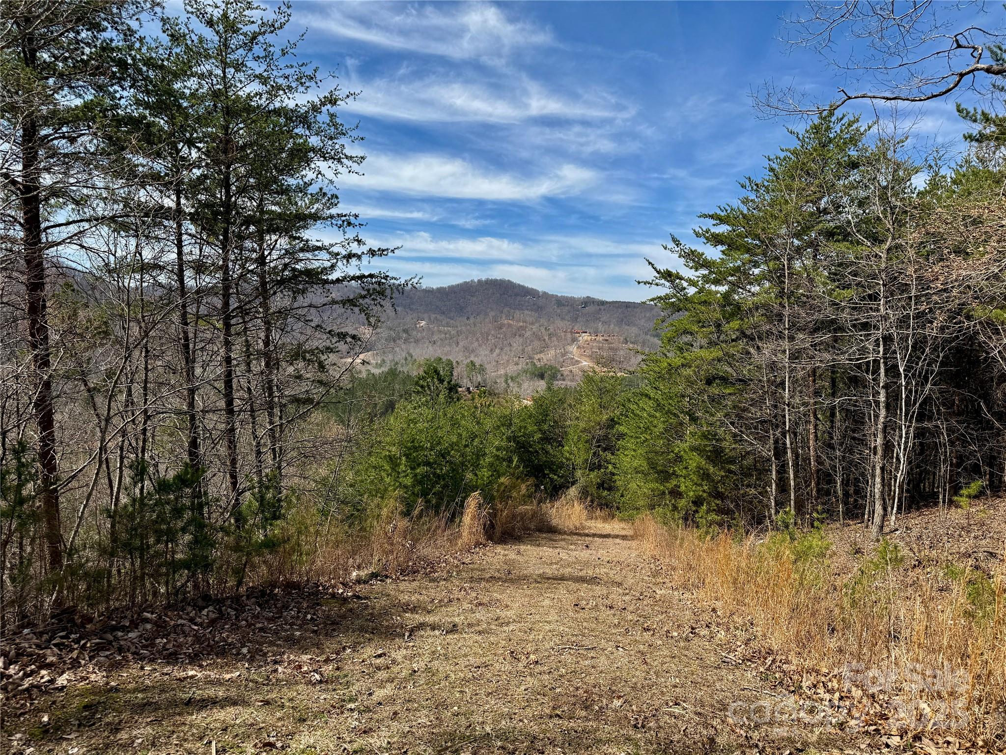 0 Pinegrove Drive Property Photo 19