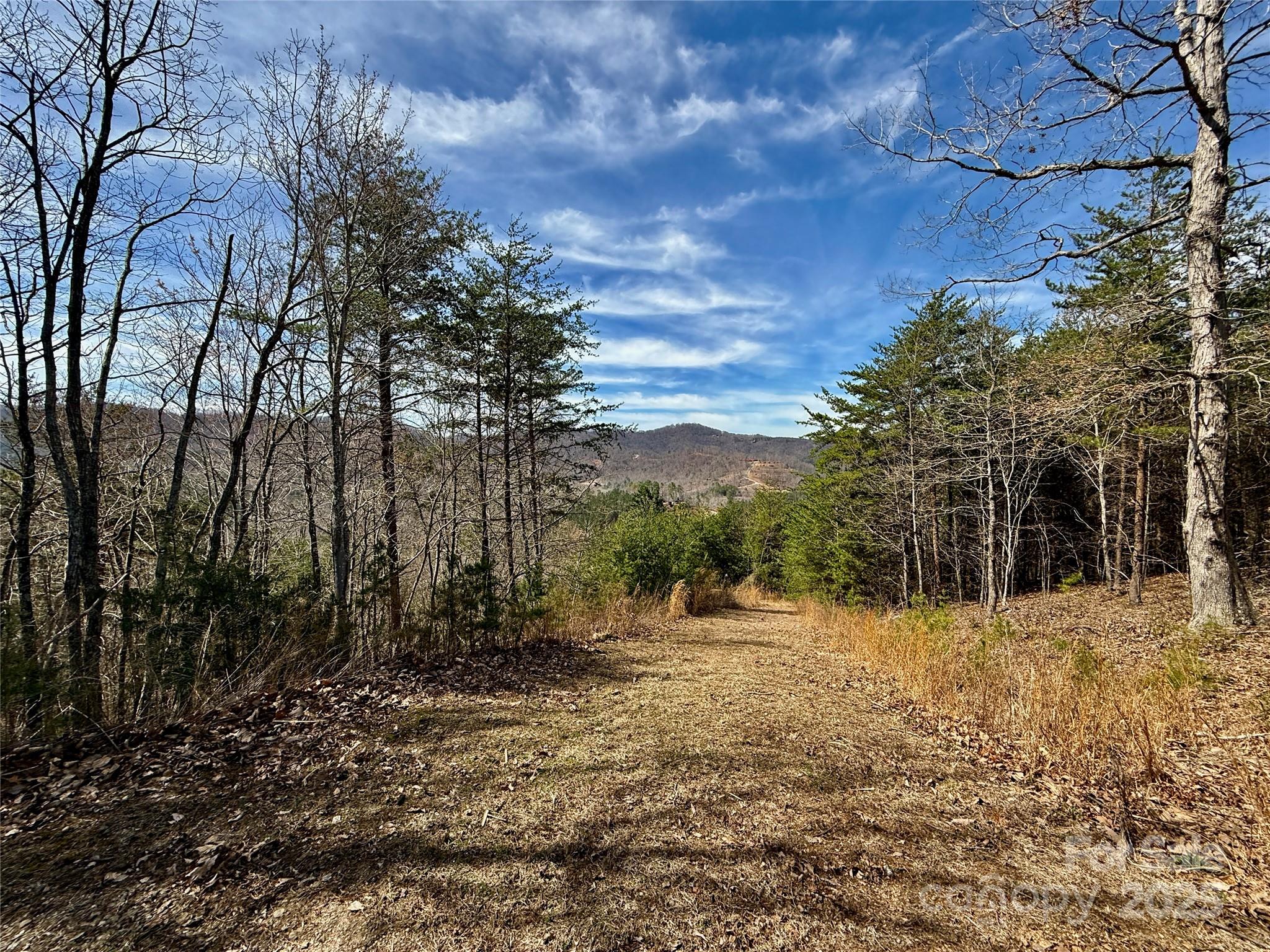 0 Pinegrove Drive Property Photo 20