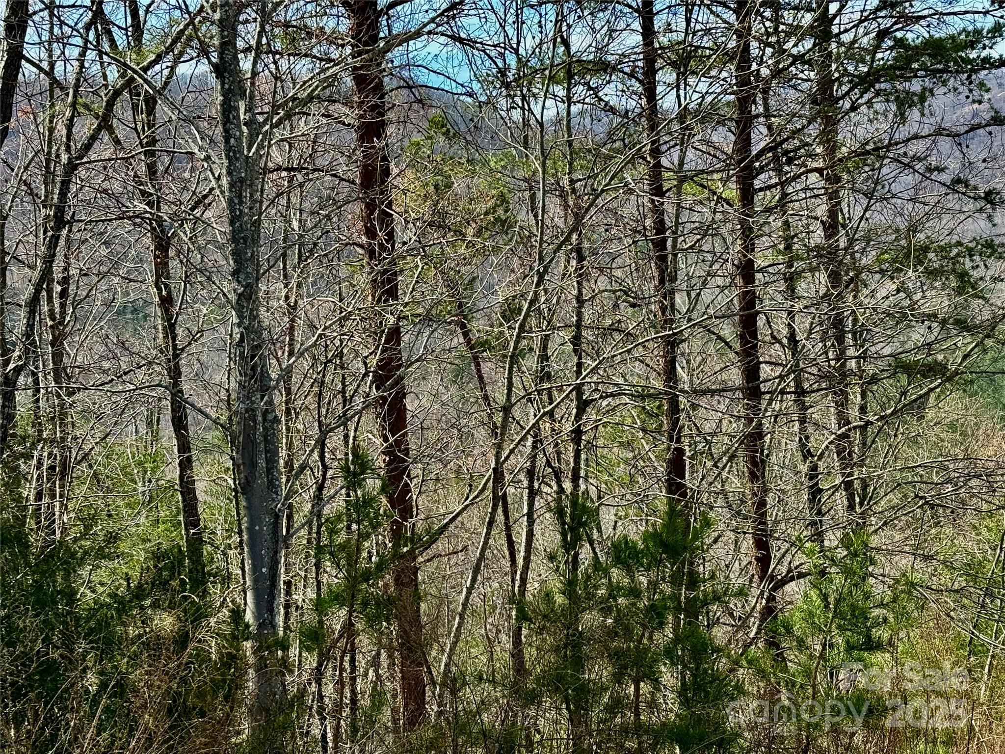 0 Pinegrove Drive Property Photo 21
