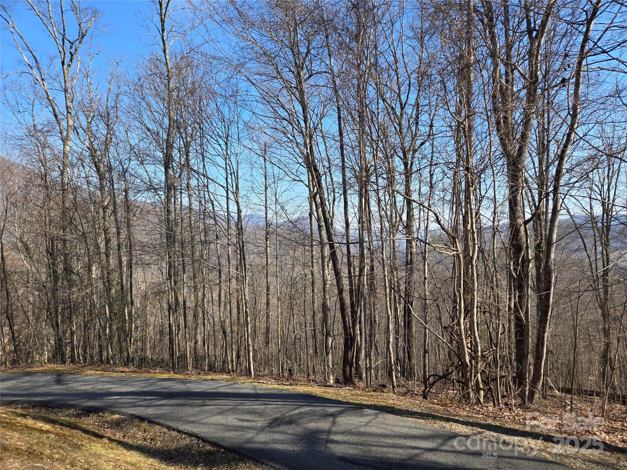Lot 18 Echo Ridge Property Photo 4