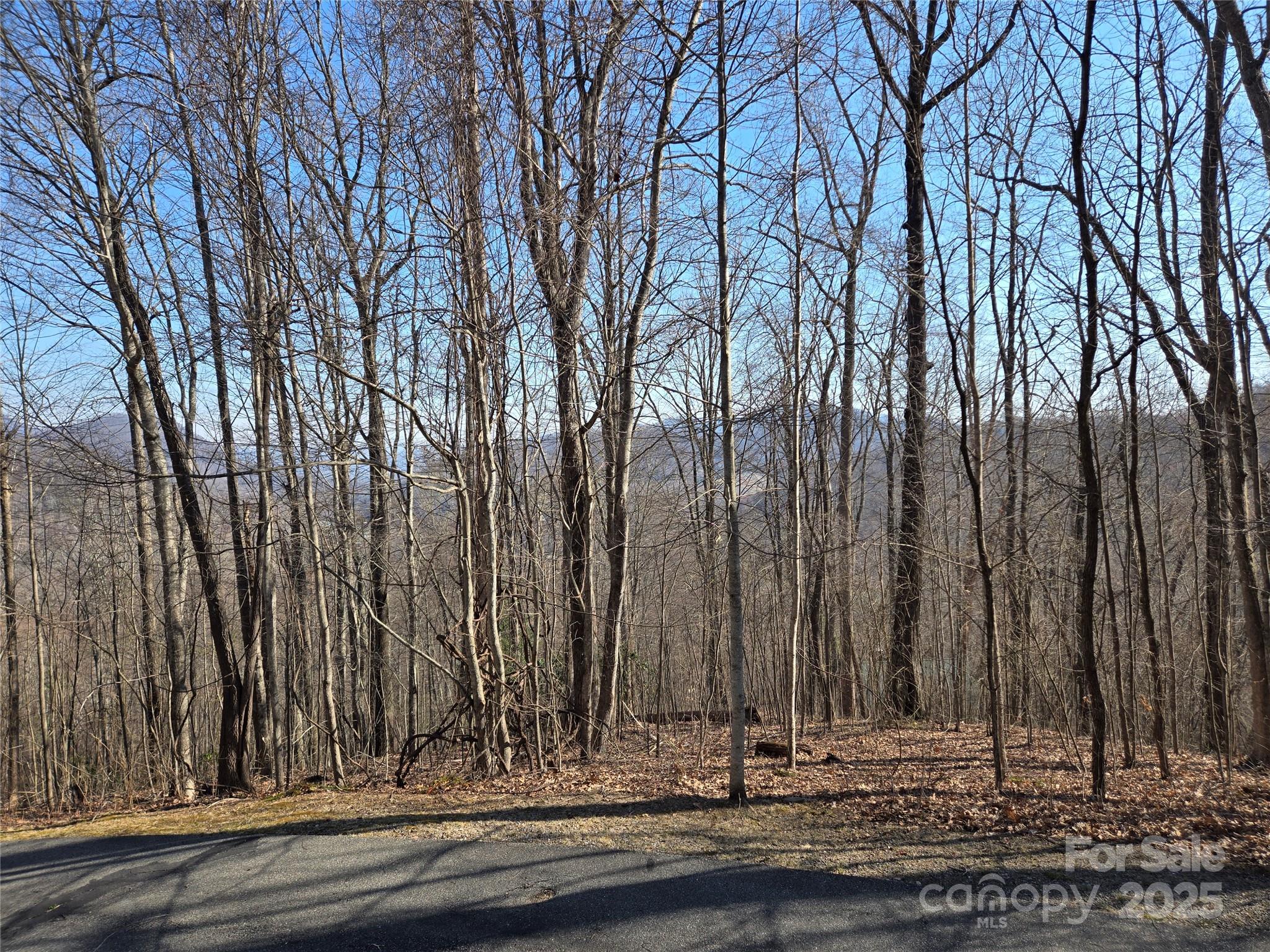 Lot 18 Echo Ridge Property Photo 5