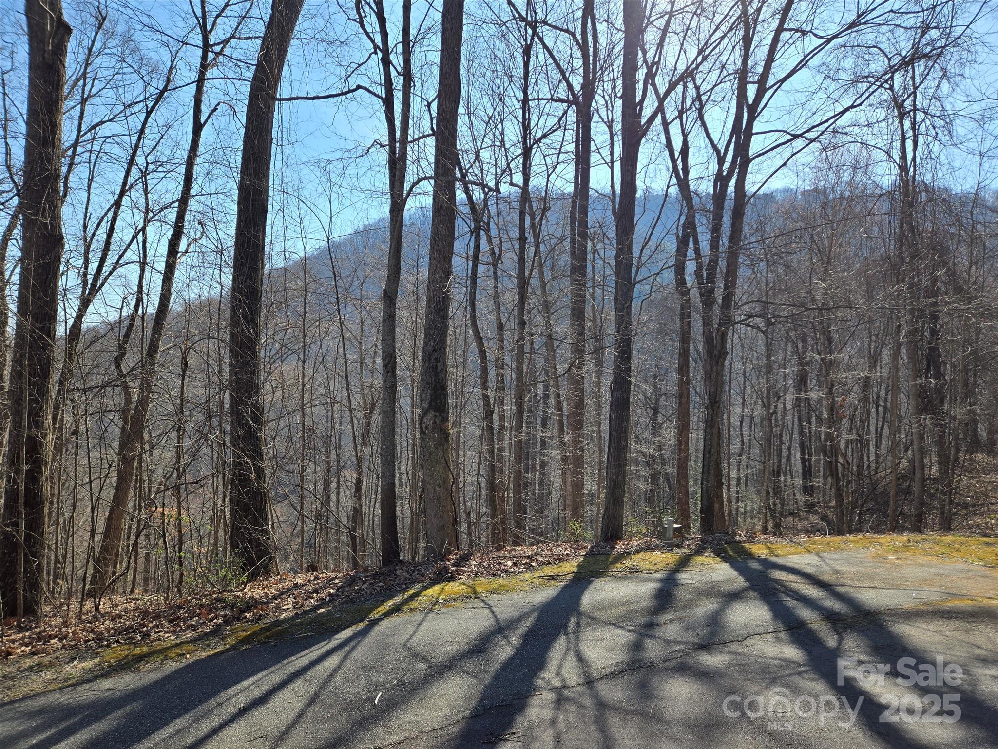 Lot 18 Echo Ridge Property Photo 6