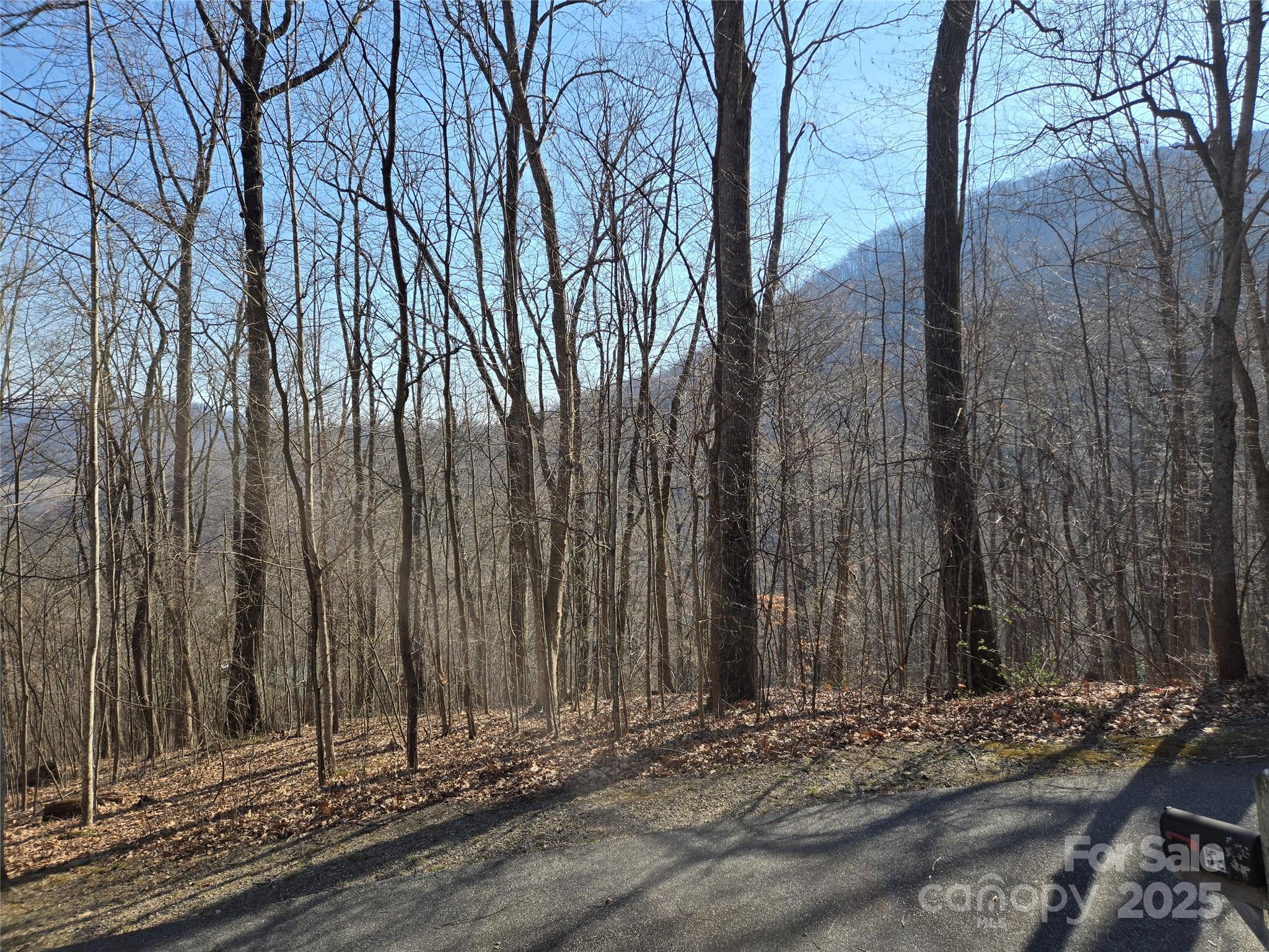 Lot 18 Echo Ridge Property Photo 7