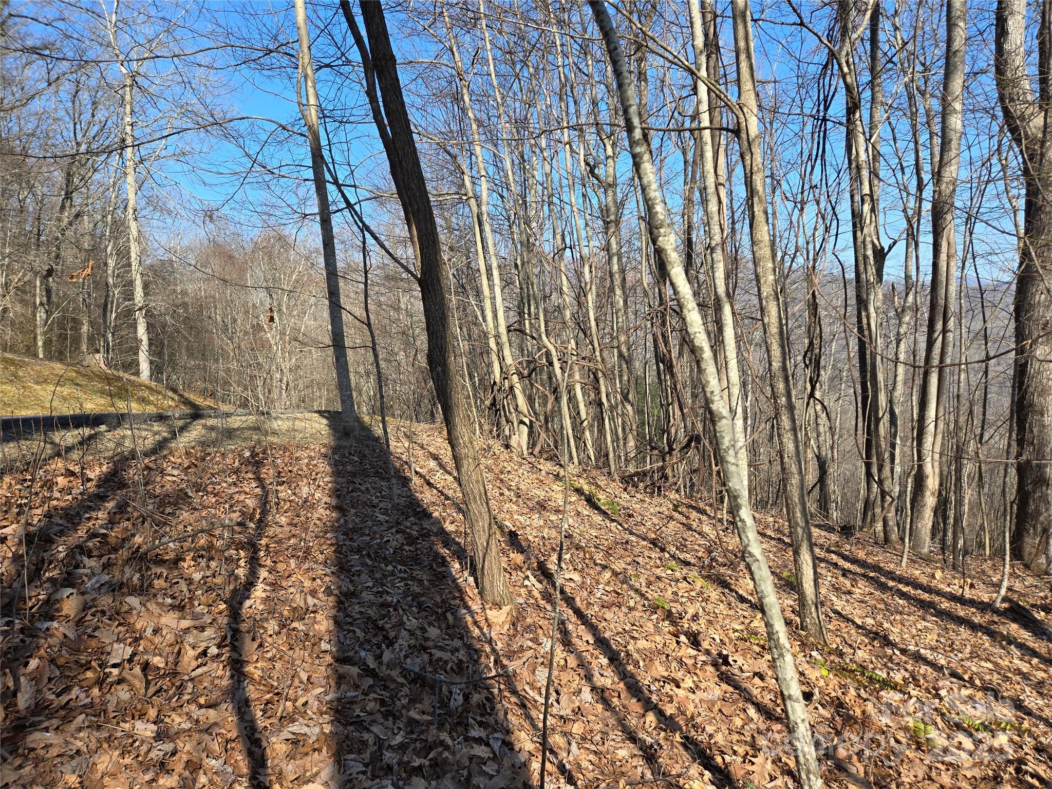 Lot 18 Echo Ridge Property Photo 9